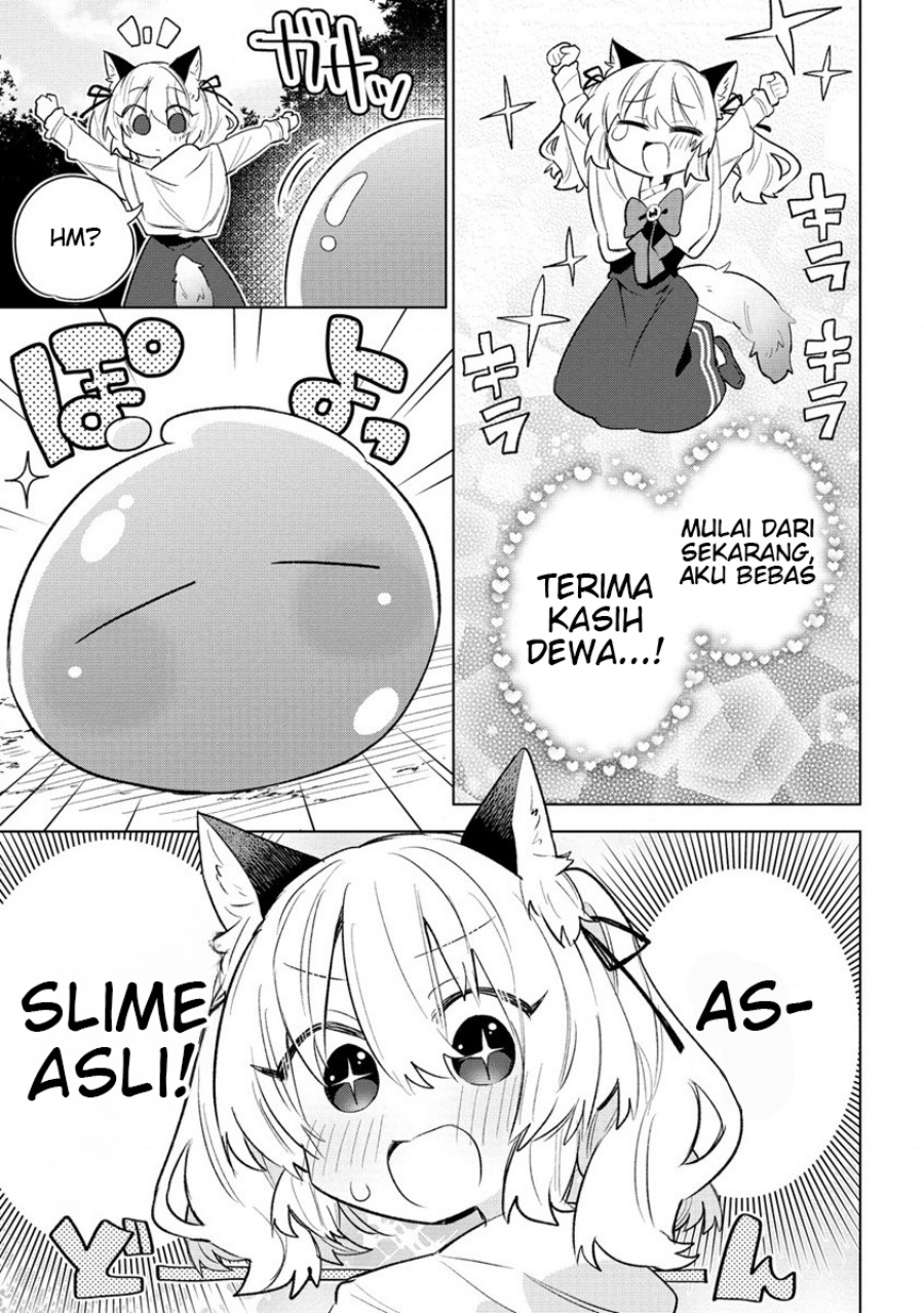 Nekomimi Shoujo wa Mori de Slow Life wo Okuritai: Mofumofu wa Shomou Shimashita ga, Seijo to ka Ouji-sama to ka wa Chuumongai desu chapter 1