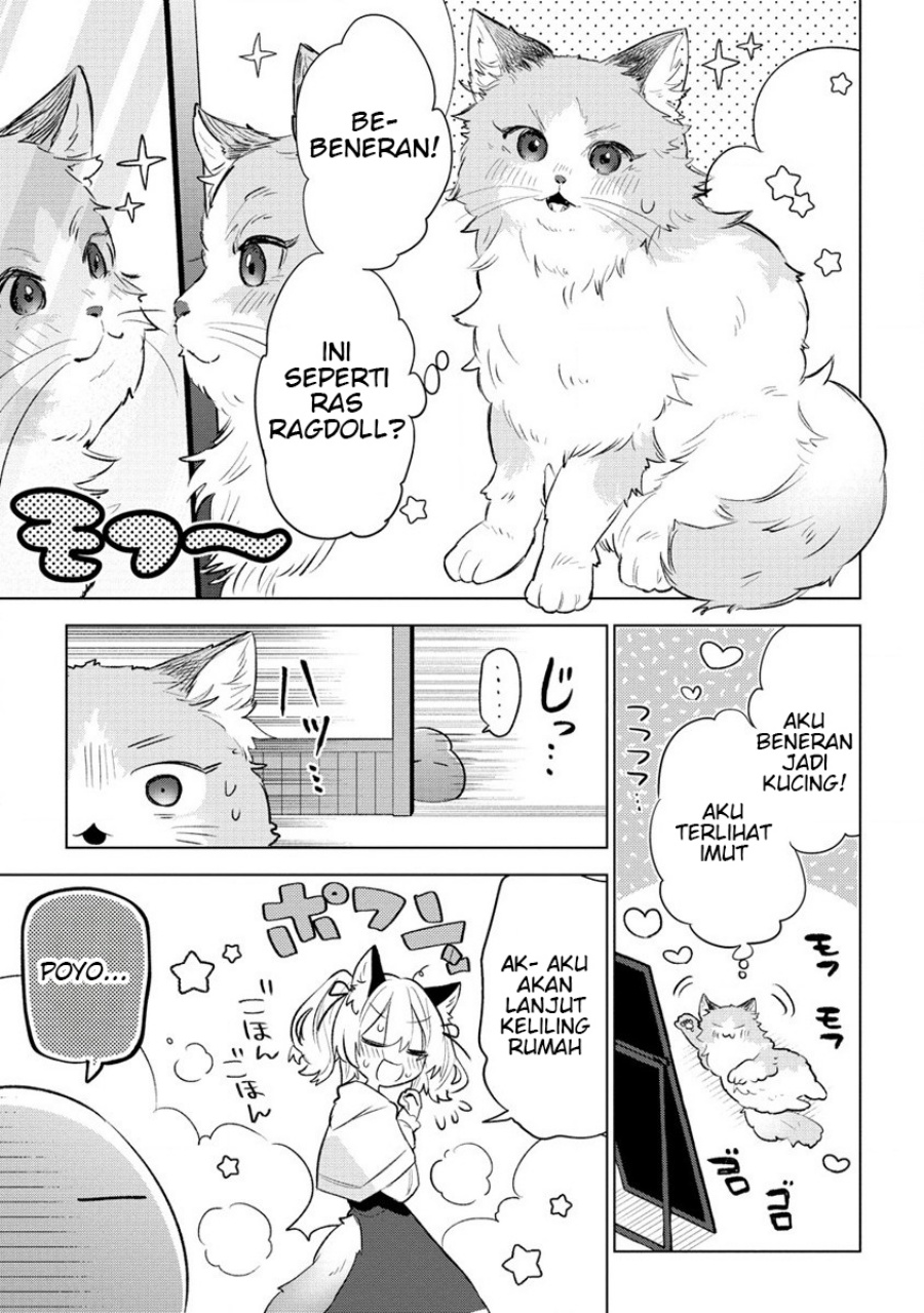 Nekomimi Shoujo wa Mori de Slow Life wo Okuritai: Mofumofu wa Shomou Shimashita ga, Seijo to ka Ouji-sama to ka wa Chuumongai desu chapter 1