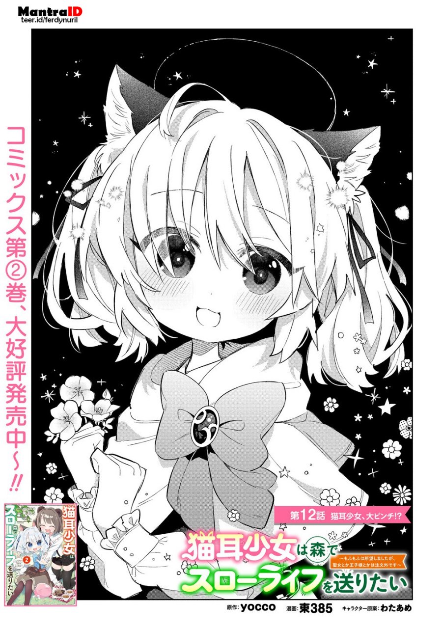 Nekomimi Shoujo wa Mori de Slow Life wo Okuritai: Mofumofu wa Shomou Shimashita ga, Seijo to ka Ouji-sama to ka wa Chuumongai desu chapter 12
