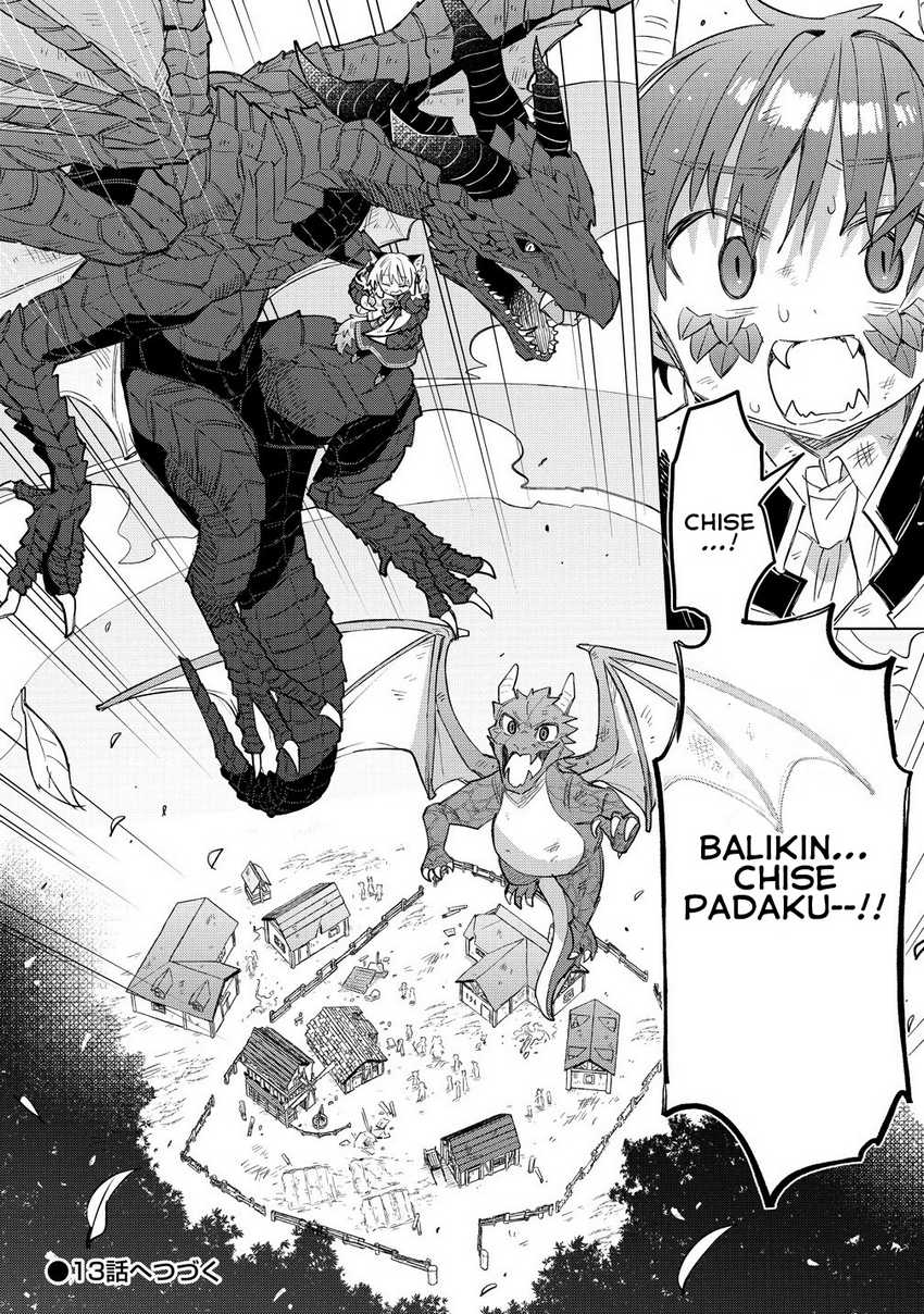 Nekomimi Shoujo wa Mori de Slow Life wo Okuritai: Mofumofu wa Shomou Shimashita ga, Seijo to ka Ouji-sama to ka wa Chuumongai desu chapter 12