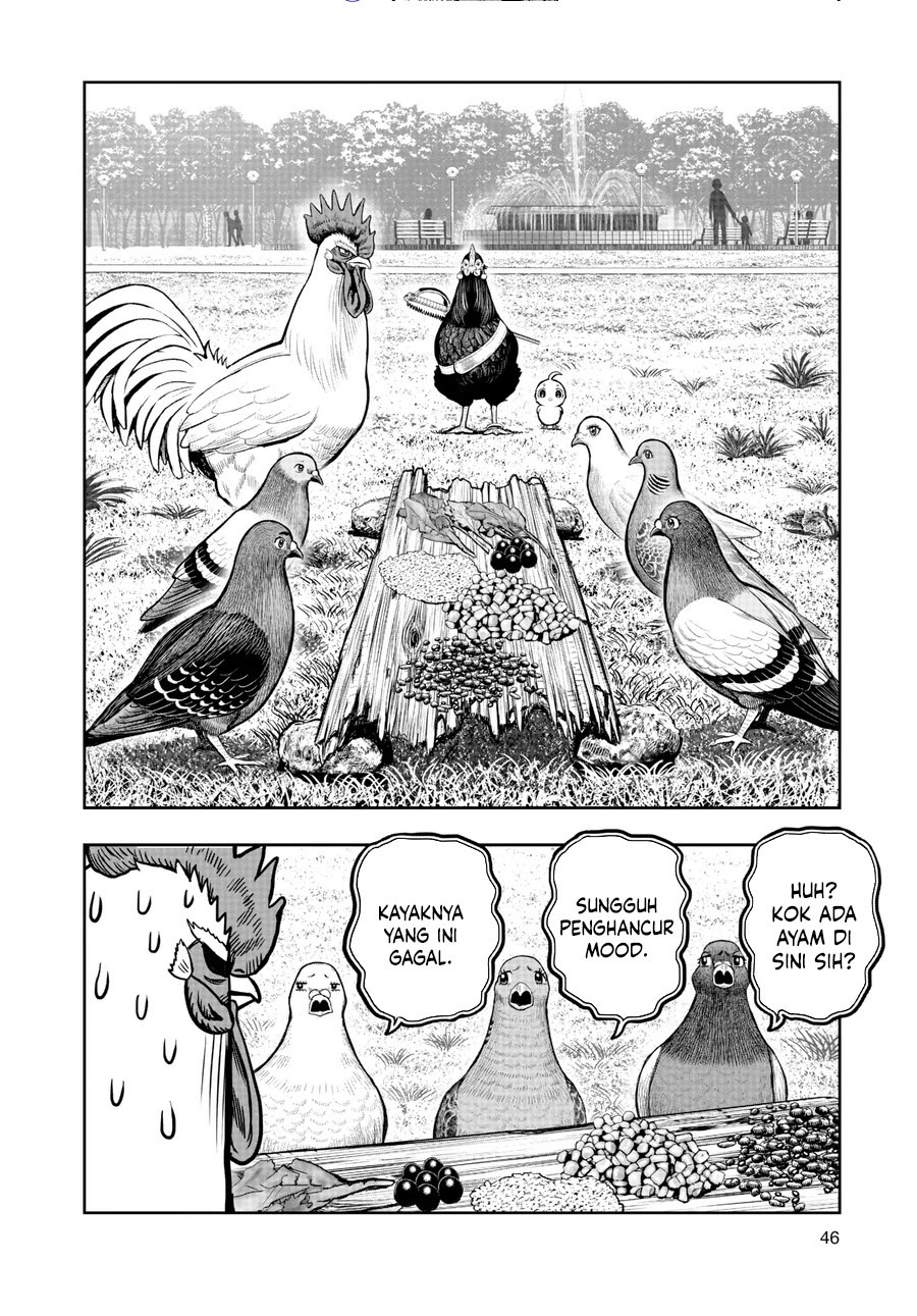 Dilarang COPAS - situs resmi www.mangacanblog.com - Komik rooster fighter 017 - chapter 17 18 Indonesia rooster fighter 017 - chapter 17 Terbaru 18|Baca Manga Komik Indonesia|Mangacan