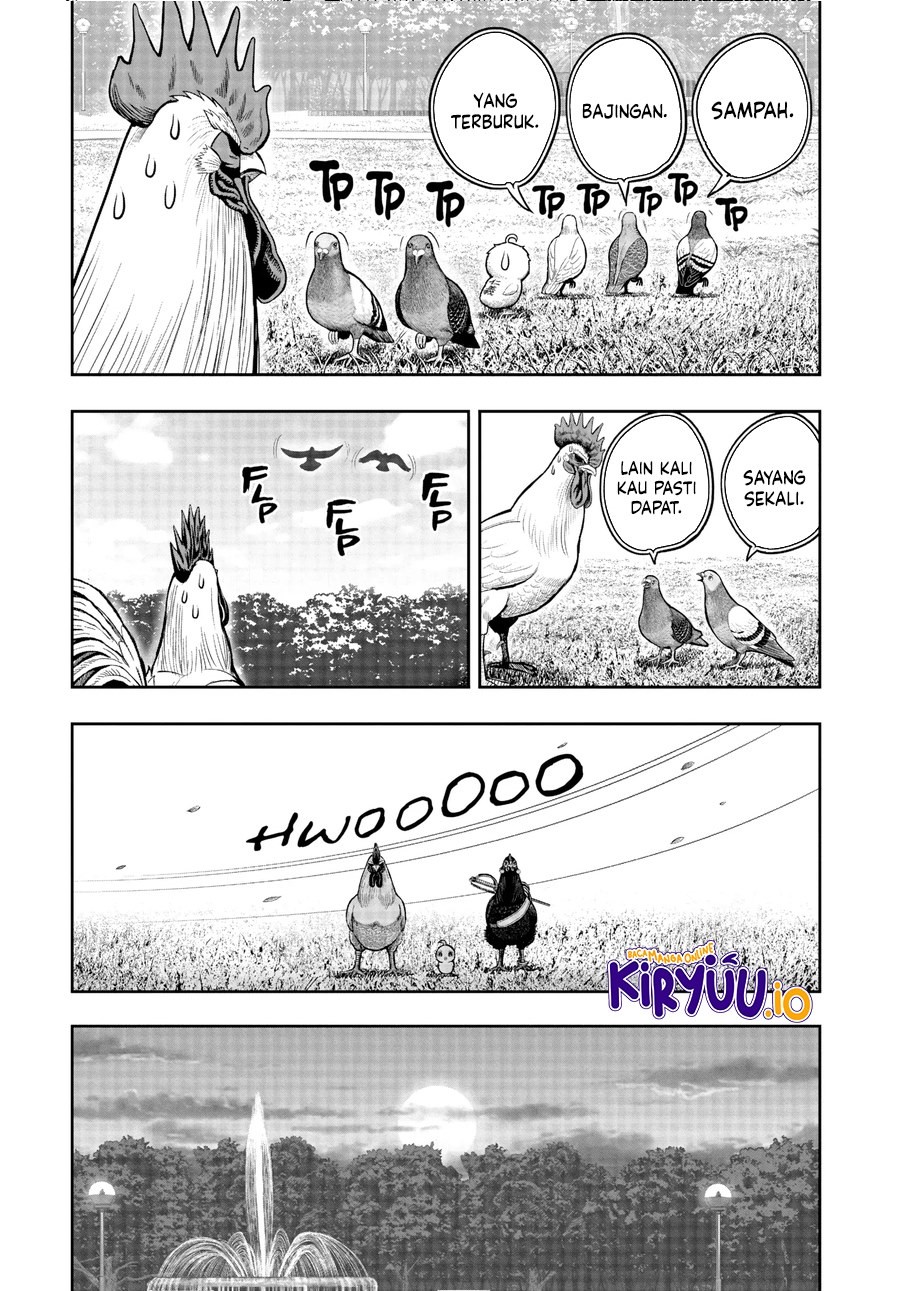 Dilarang COPAS - situs resmi www.mangacanblog.com - Komik rooster fighter 017 - chapter 17 18 Indonesia rooster fighter 017 - chapter 17 Terbaru 33|Baca Manga Komik Indonesia|Mangacan