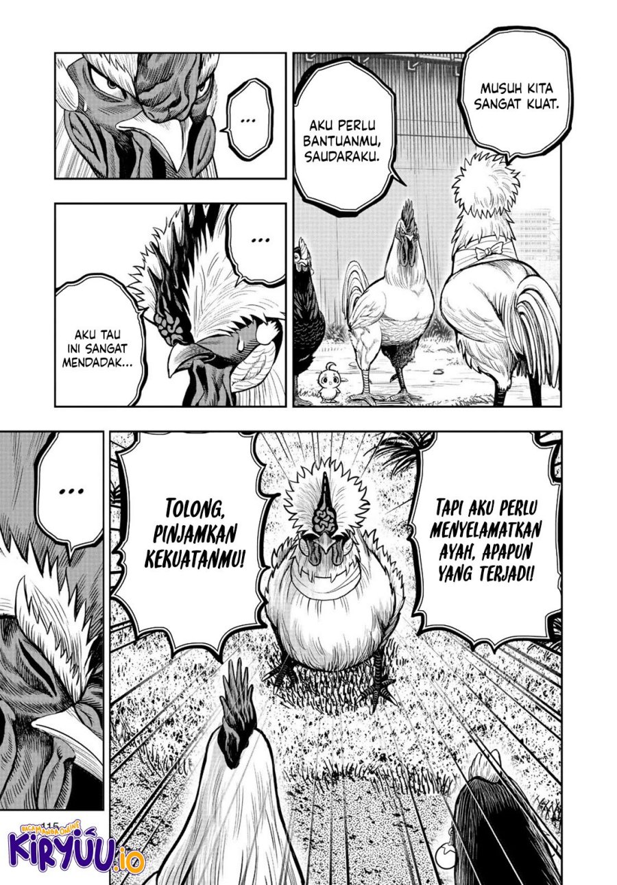 Dilarang COPAS - situs resmi www.mangacanblog.com - Komik rooster fighter 019 - chapter 19 20 Indonesia rooster fighter 019 - chapter 19 Terbaru 17|Baca Manga Komik Indonesia|Mangacan