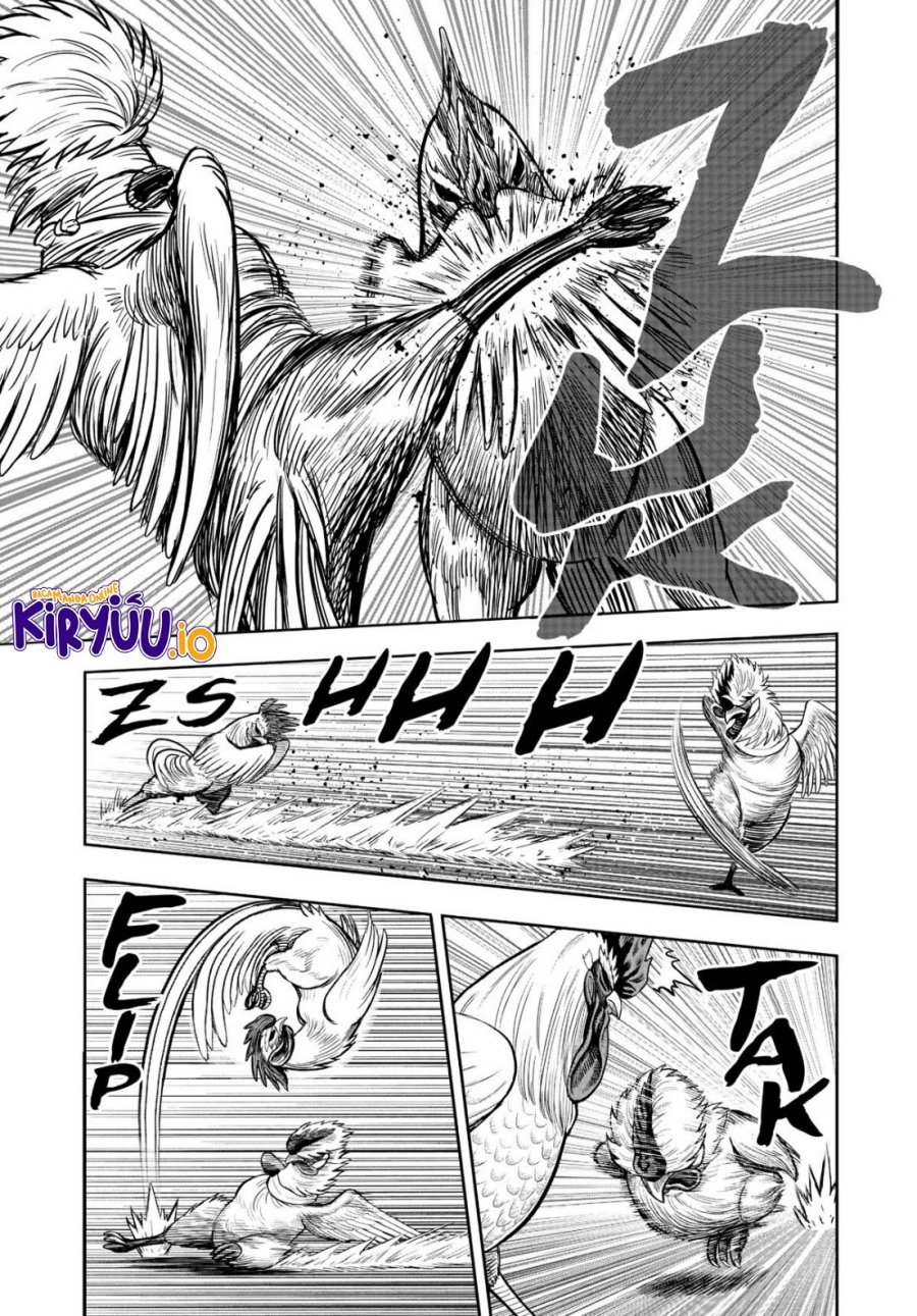 Dilarang COPAS - situs resmi www.mangacanblog.com - Komik rooster fighter 019 - chapter 19 20 Indonesia rooster fighter 019 - chapter 19 Terbaru 29|Baca Manga Komik Indonesia|Mangacan