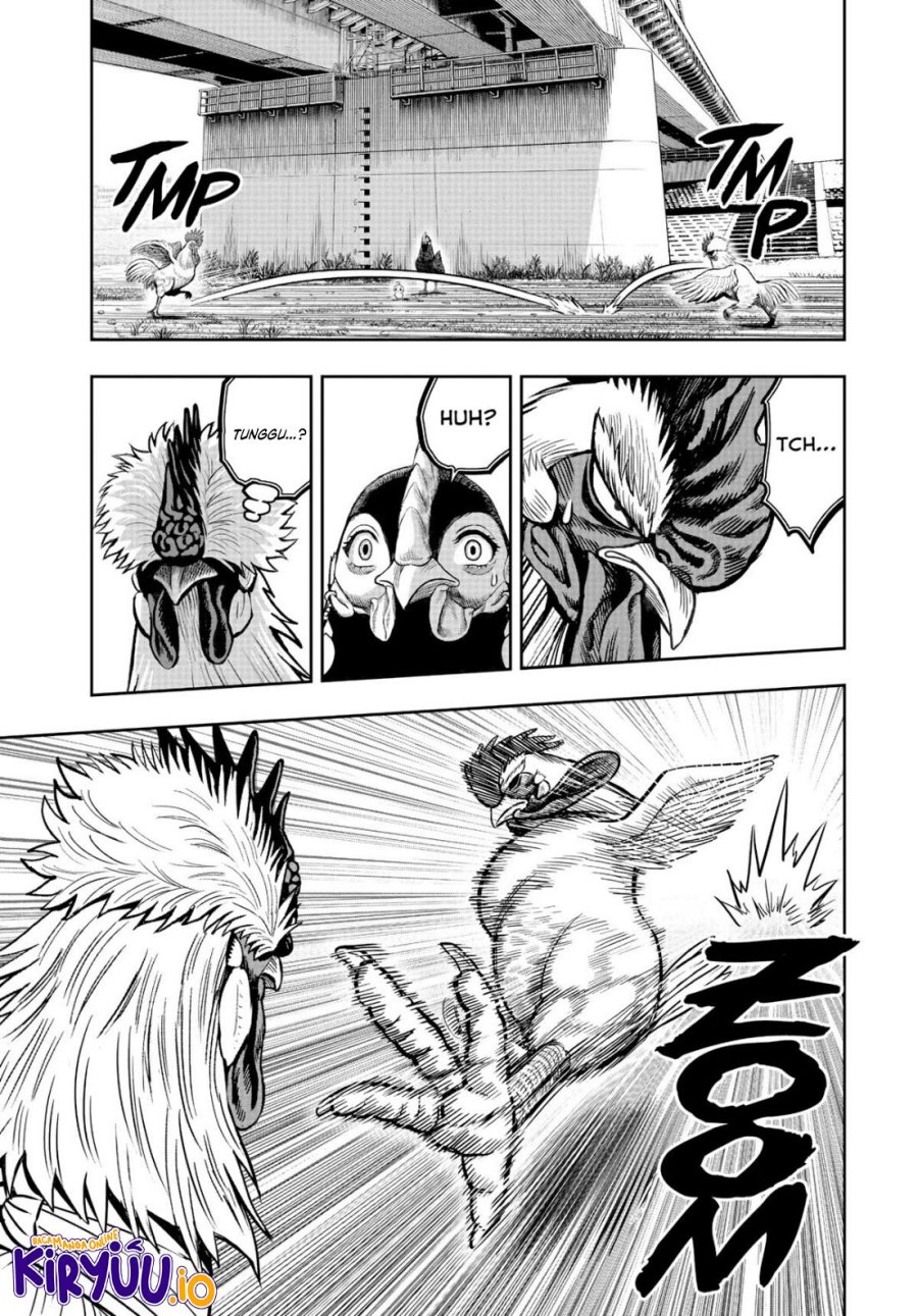 Dilarang COPAS - situs resmi www.mangacanblog.com - Komik rooster fighter 019 - chapter 19 20 Indonesia rooster fighter 019 - chapter 19 Terbaru 31|Baca Manga Komik Indonesia|Mangacan