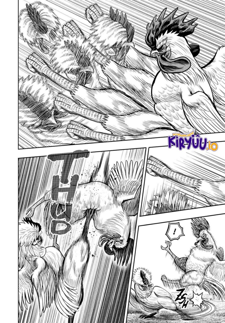Dilarang COPAS - situs resmi www.mangacanblog.com - Komik rooster fighter 019 - chapter 19 20 Indonesia rooster fighter 019 - chapter 19 Terbaru 32|Baca Manga Komik Indonesia|Mangacan