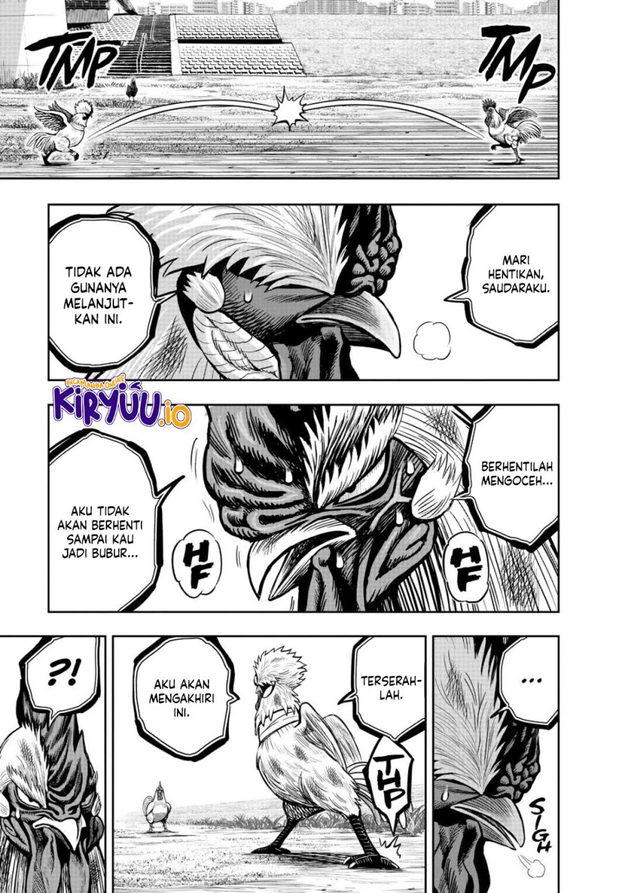 Dilarang COPAS - situs resmi www.mangacanblog.com - Komik rooster fighter 019 - chapter 19 20 Indonesia rooster fighter 019 - chapter 19 Terbaru 35|Baca Manga Komik Indonesia|Mangacan