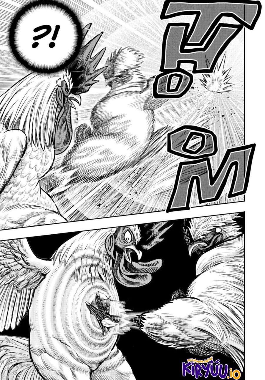 Dilarang COPAS - situs resmi www.mangacanblog.com - Komik rooster fighter 019 - chapter 19 20 Indonesia rooster fighter 019 - chapter 19 Terbaru 37|Baca Manga Komik Indonesia|Mangacan