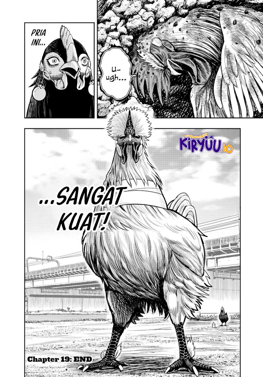 Dilarang COPAS - situs resmi www.mangacanblog.com - Komik rooster fighter 019 - chapter 19 20 Indonesia rooster fighter 019 - chapter 19 Terbaru 40|Baca Manga Komik Indonesia|Mangacan