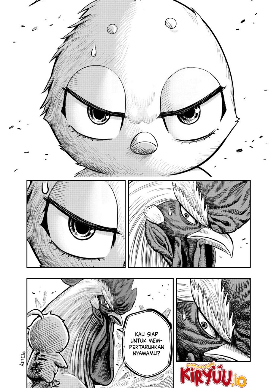 Dilarang COPAS - situs resmi www.mangacanblog.com - Komik rooster fighter 023 - chapter 23 24 Indonesia rooster fighter 023 - chapter 23 Terbaru 9|Baca Manga Komik Indonesia|Mangacan