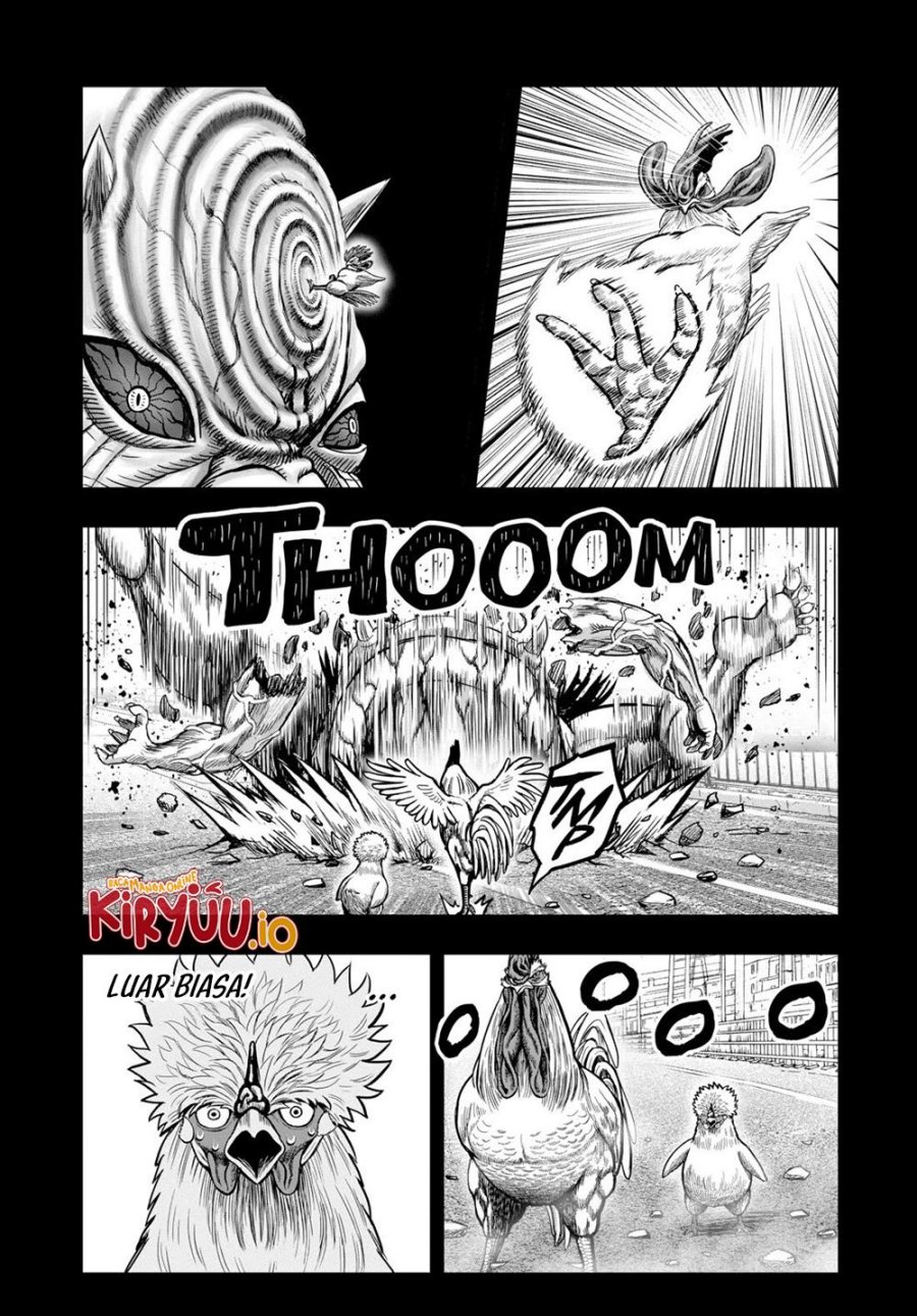 Dilarang COPAS - situs resmi www.mangacanblog.com - Komik rooster fighter 027 - chapter 27 28 Indonesia rooster fighter 027 - chapter 27 Terbaru 13|Baca Manga Komik Indonesia|Mangacan