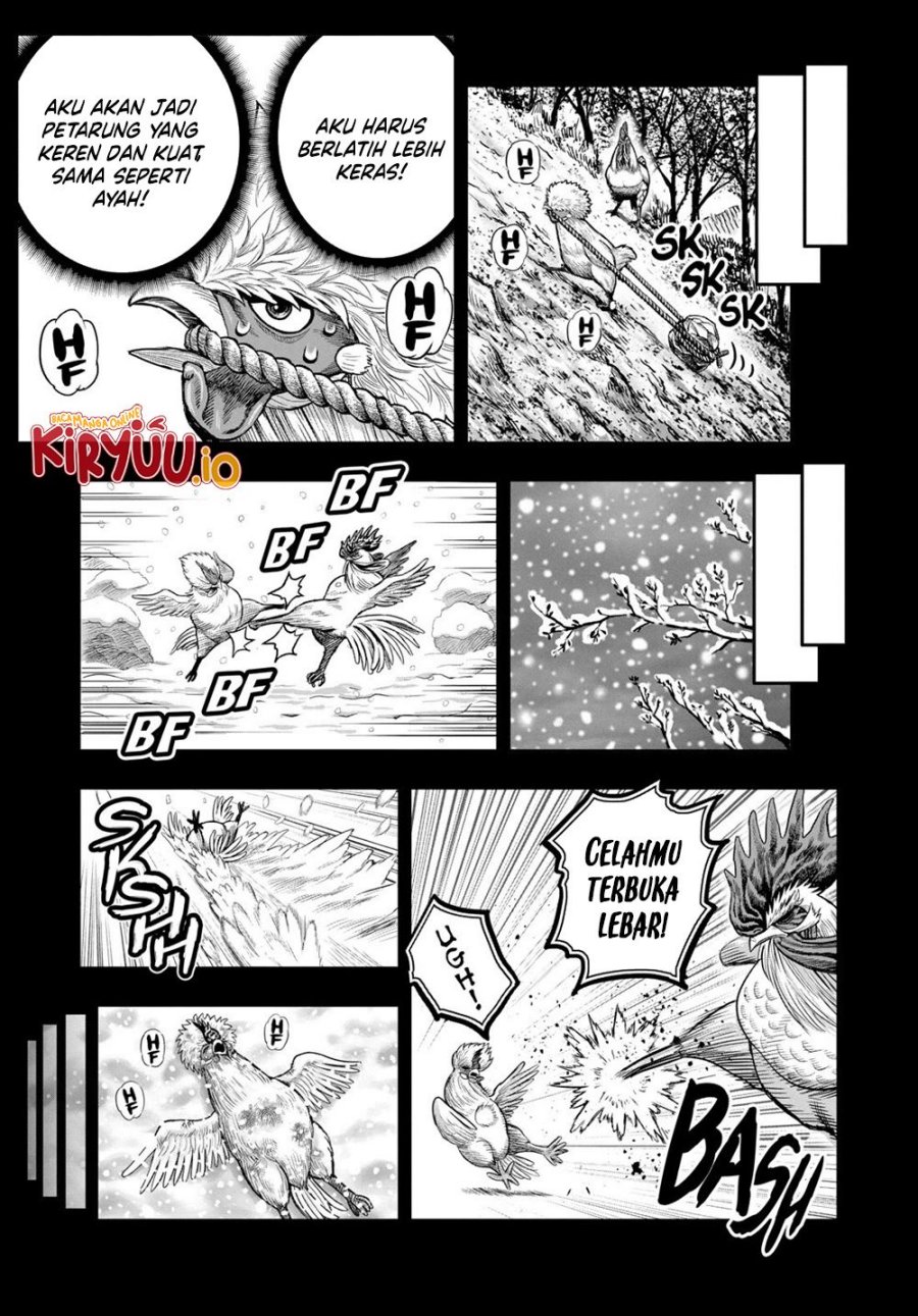 Dilarang COPAS - situs resmi www.mangacanblog.com - Komik rooster fighter 027 - chapter 27 28 Indonesia rooster fighter 027 - chapter 27 Terbaru 15|Baca Manga Komik Indonesia|Mangacan