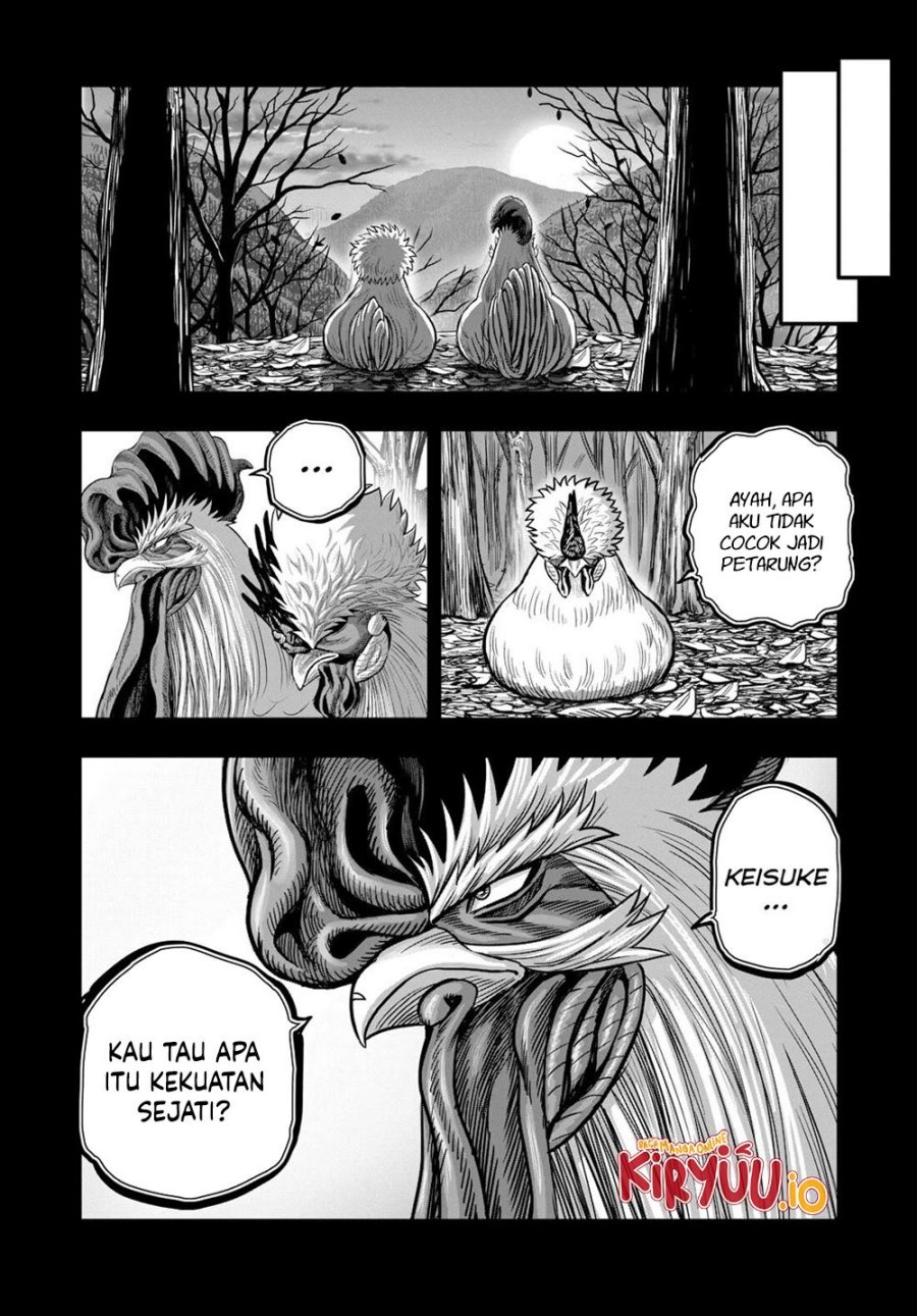 Dilarang COPAS - situs resmi www.mangacanblog.com - Komik rooster fighter 027 - chapter 27 28 Indonesia rooster fighter 027 - chapter 27 Terbaru 16|Baca Manga Komik Indonesia|Mangacan
