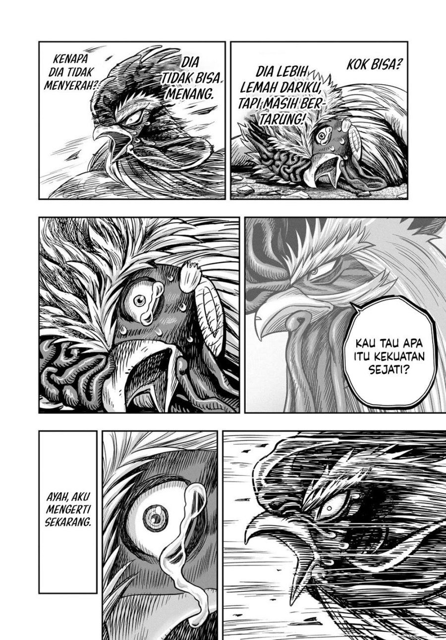 Dilarang COPAS - situs resmi www.mangacanblog.com - Komik rooster fighter 027 - chapter 27 28 Indonesia rooster fighter 027 - chapter 27 Terbaru 42|Baca Manga Komik Indonesia|Mangacan