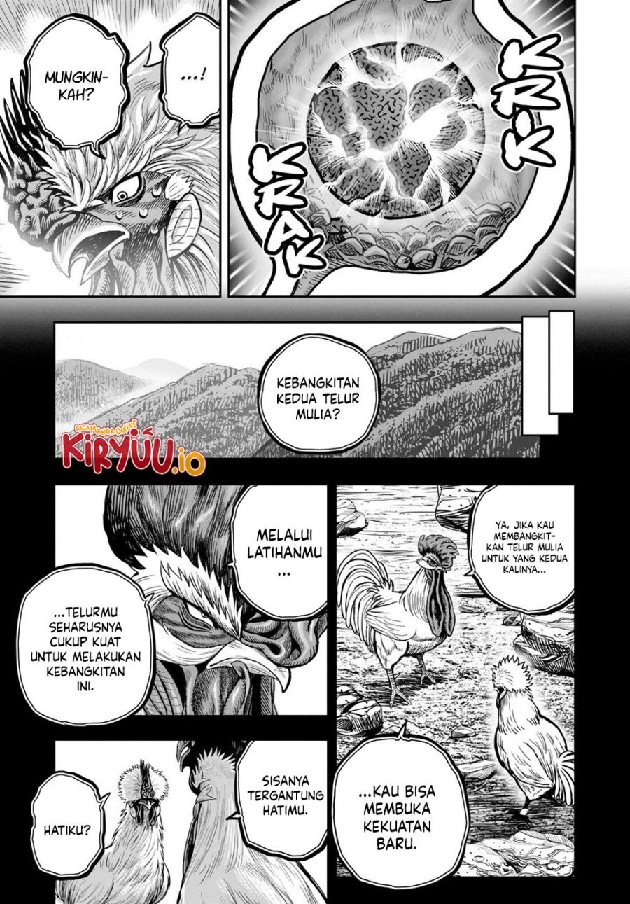 Dilarang COPAS - situs resmi www.mangacanblog.com - Komik rooster fighter 027 - chapter 27 28 Indonesia rooster fighter 027 - chapter 27 Terbaru 47|Baca Manga Komik Indonesia|Mangacan