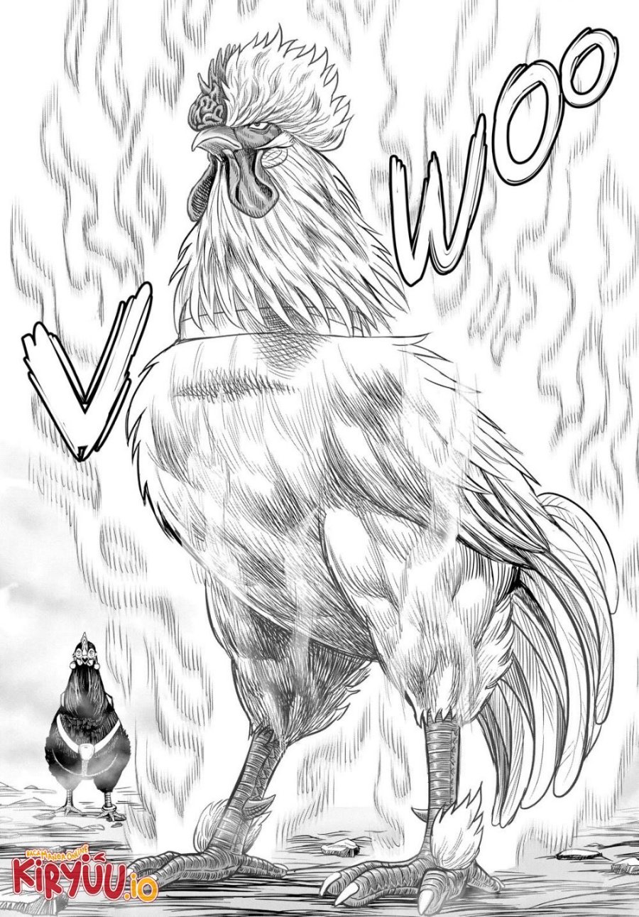 Dilarang COPAS - situs resmi www.mangacanblog.com - Komik rooster fighter 027 - chapter 27 28 Indonesia rooster fighter 027 - chapter 27 Terbaru 50|Baca Manga Komik Indonesia|Mangacan