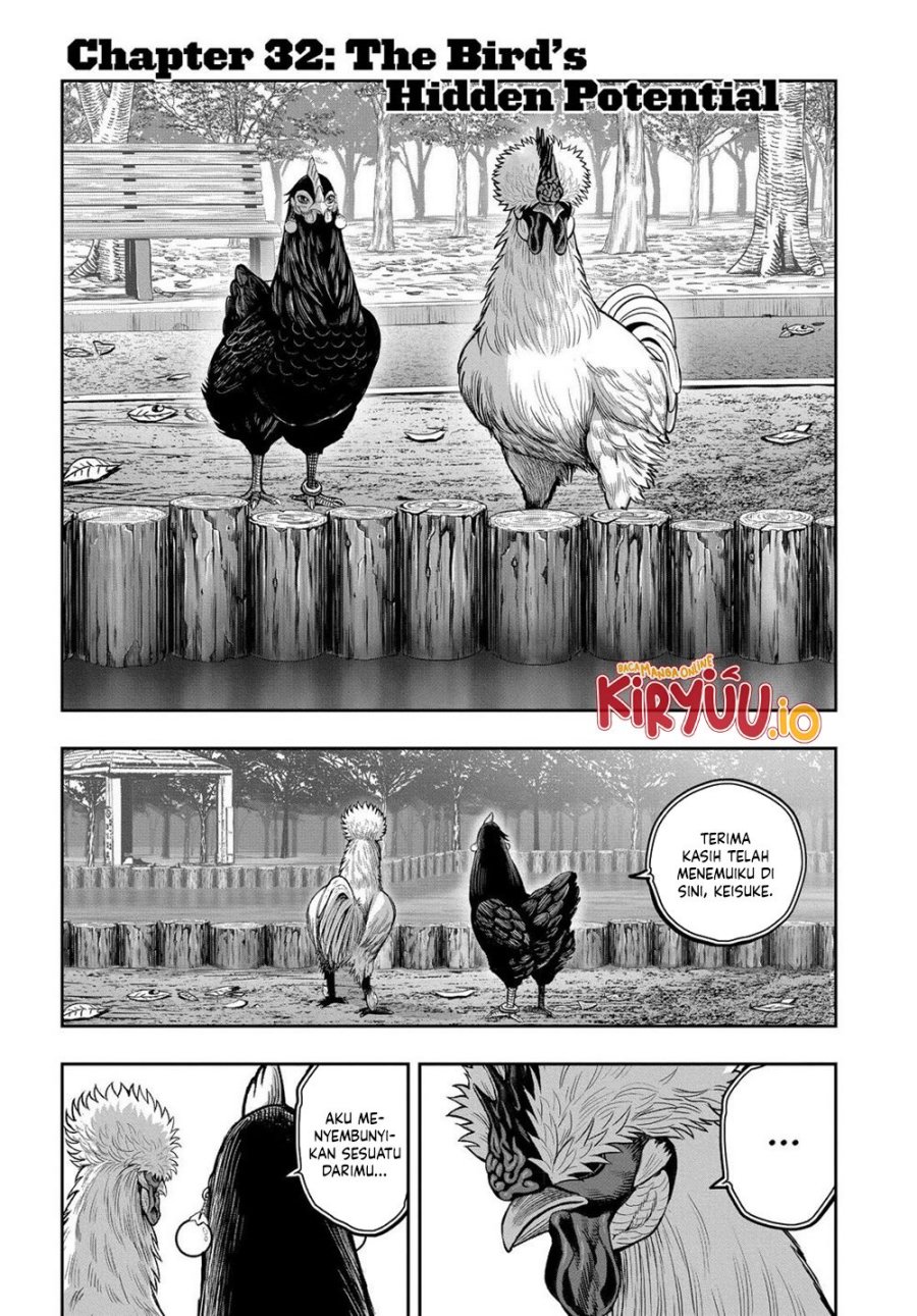 Niwatori Fighter (Rooster Fighter) Chapter 32 Bahasa Indonesia