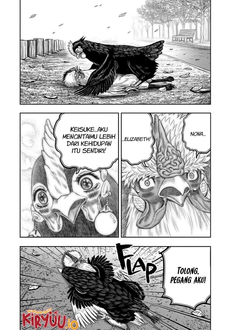 Niwatori Fighter (Rooster Fighter) Chapter 32 Bahasa Indonesia