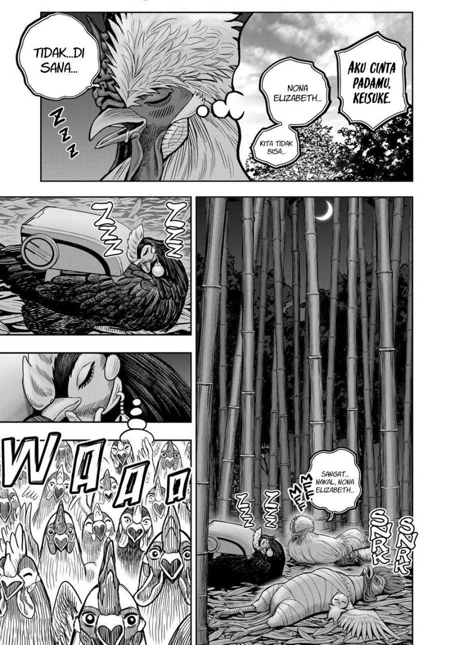 Niwatori Fighter (Rooster Fighter) Chapter 32 Bahasa Indonesia