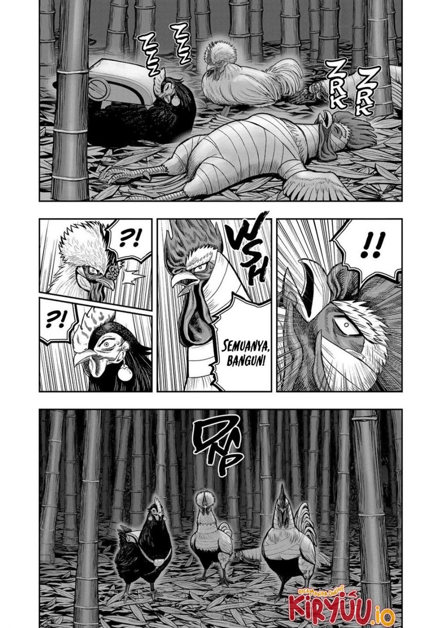 Niwatori Fighter (Rooster Fighter) Chapter 32 Bahasa Indonesia