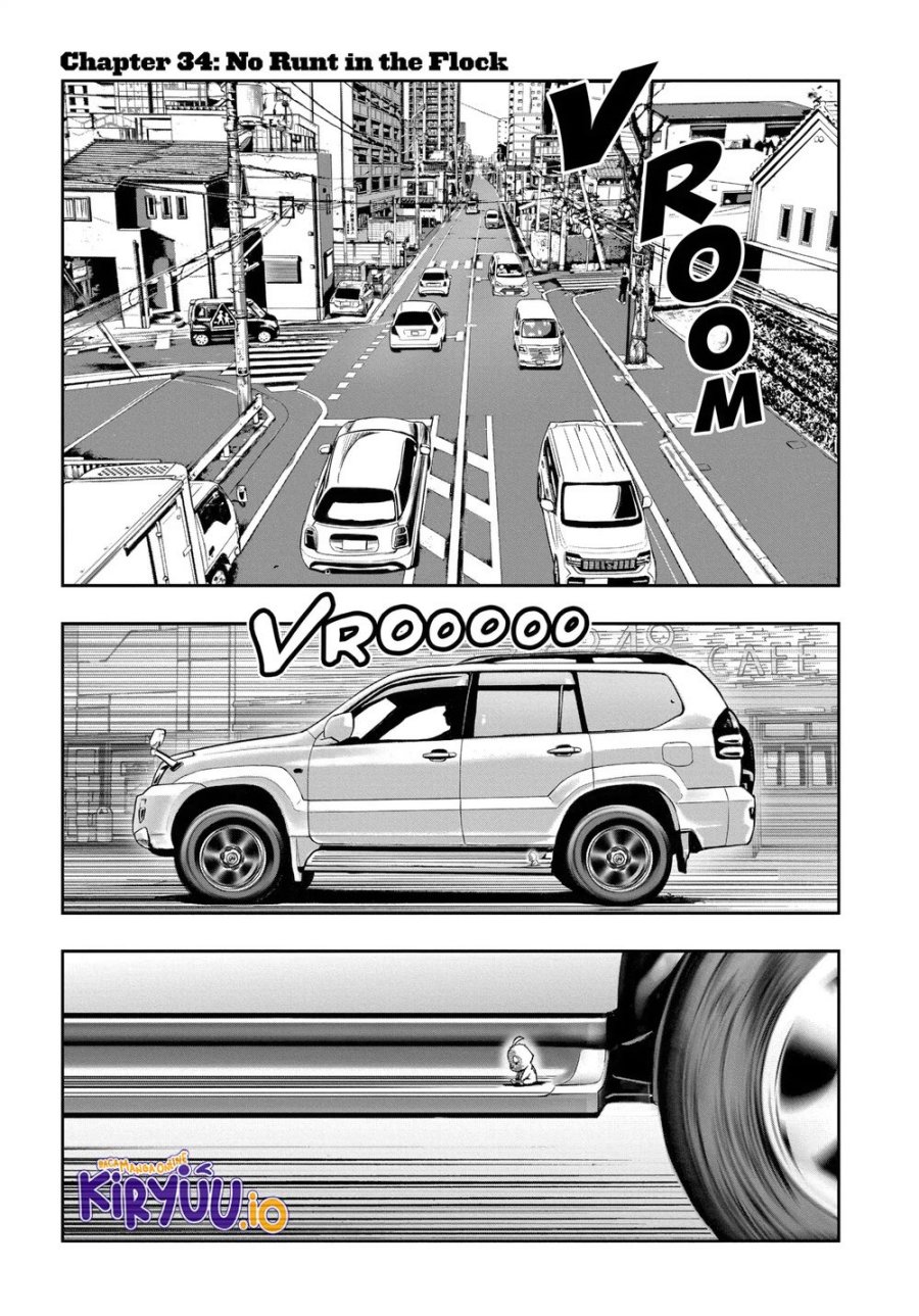 Niwatori Fighter (Rooster Fighter) Chapter 34 Bahasa Indonesia