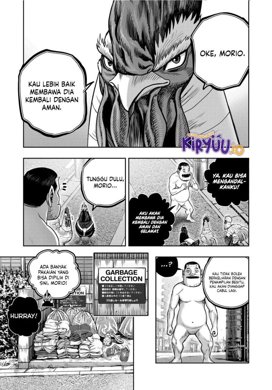 Niwatori Fighter (Rooster Fighter) Chapter 34 Bahasa Indonesia