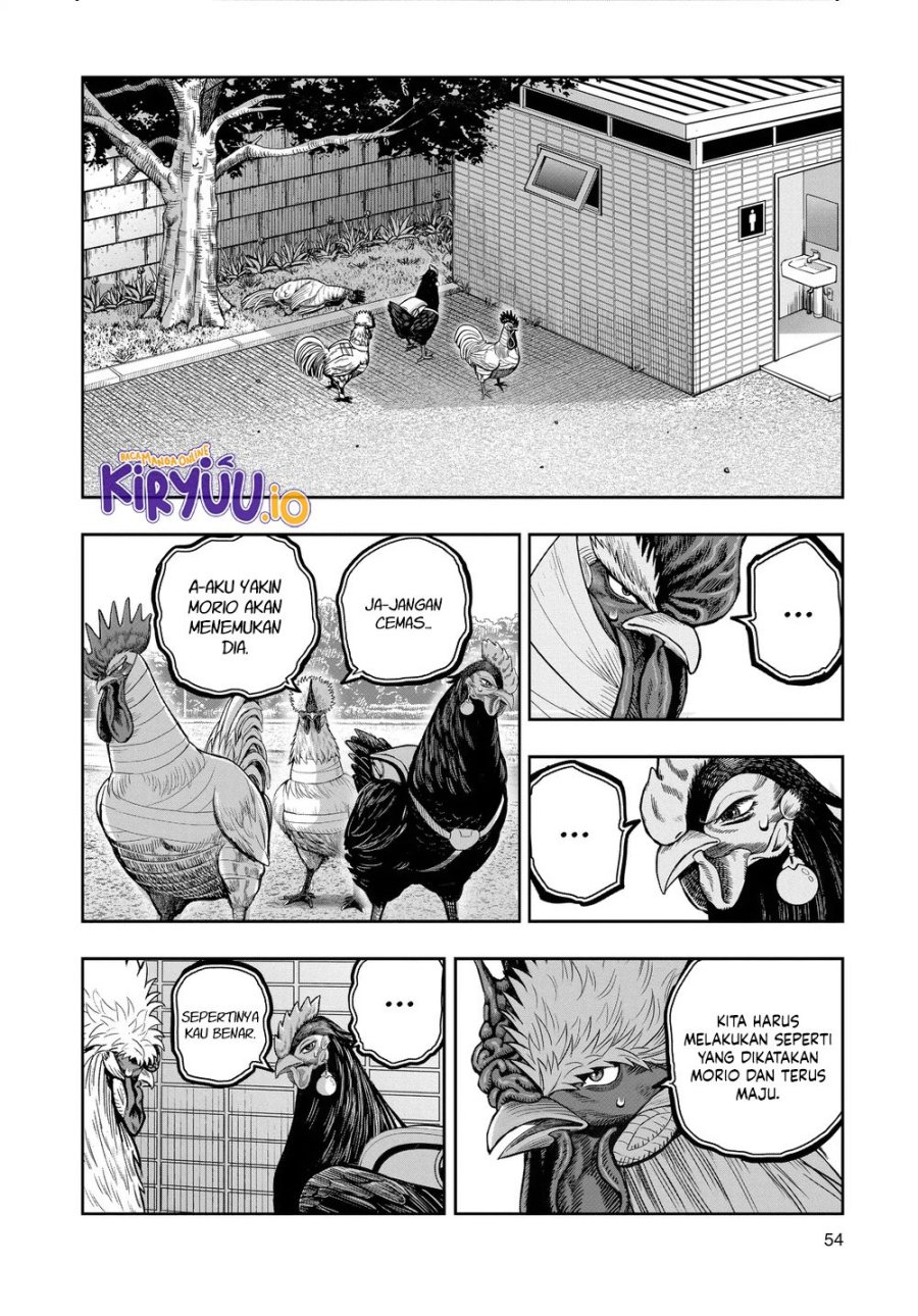 Niwatori Fighter (Rooster Fighter) Chapter 34 Bahasa Indonesia