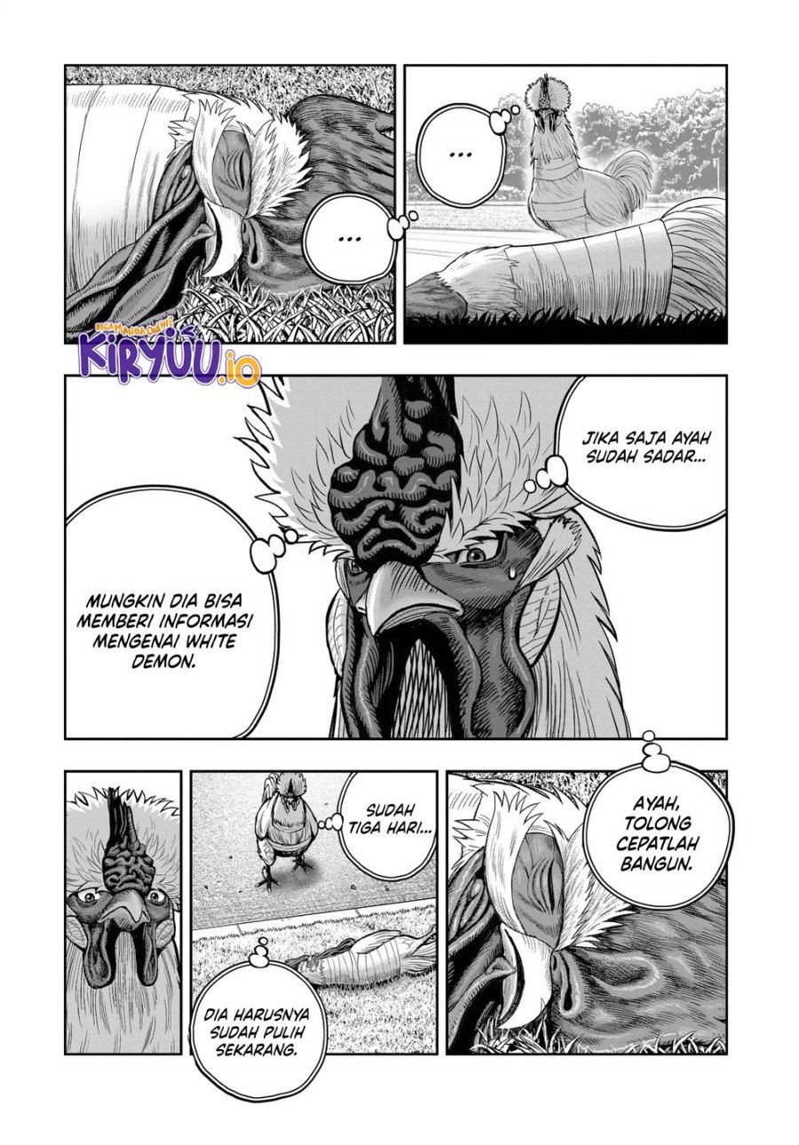 Niwatori Fighter (Rooster Fighter) Chapter 34 Bahasa Indonesia