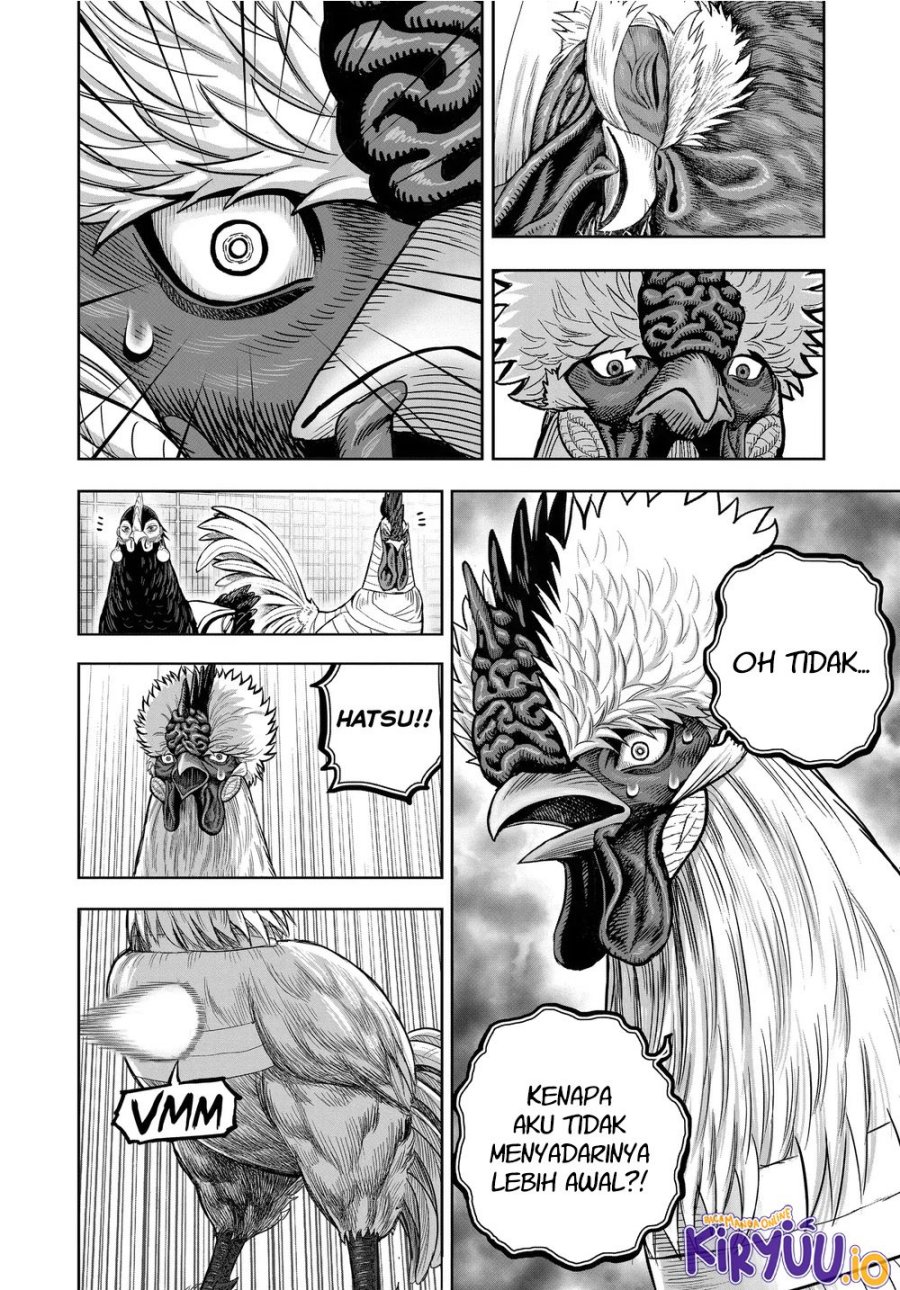 Niwatori Fighter (Rooster Fighter) Chapter 34 Bahasa Indonesia