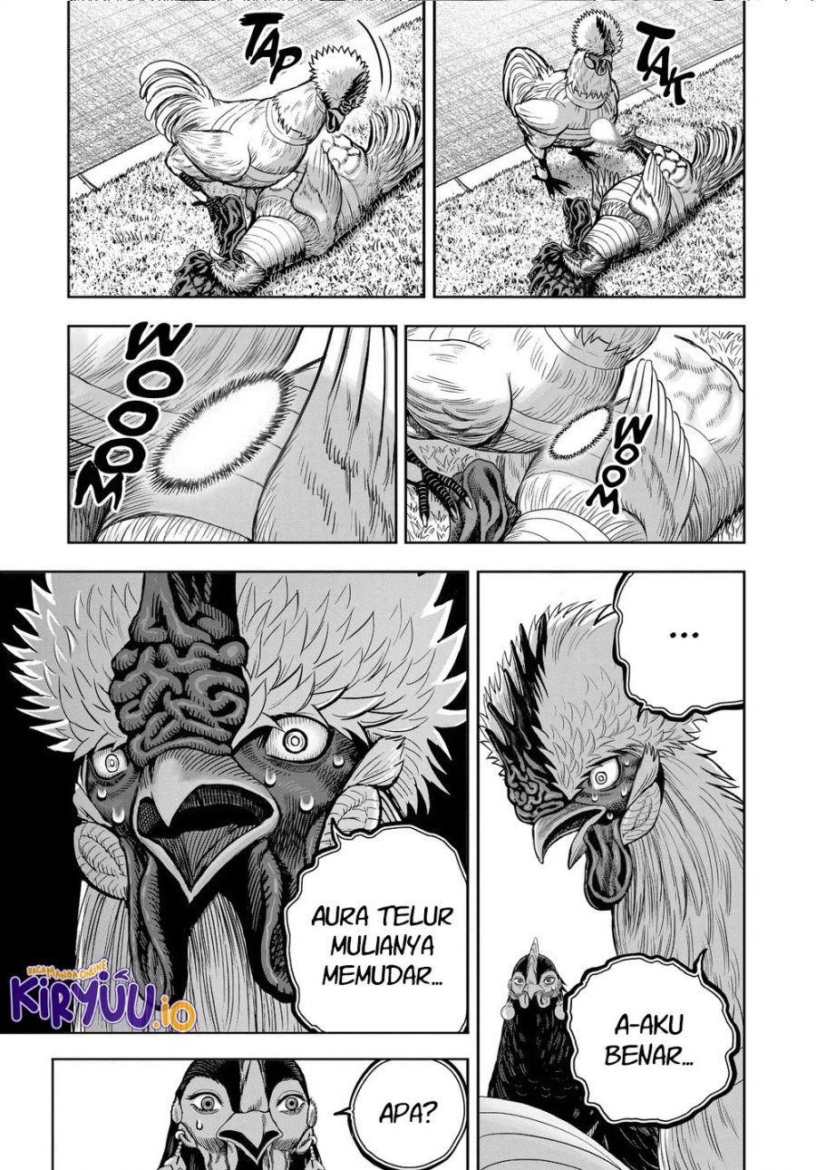 Niwatori Fighter (Rooster Fighter) Chapter 34 Bahasa Indonesia
