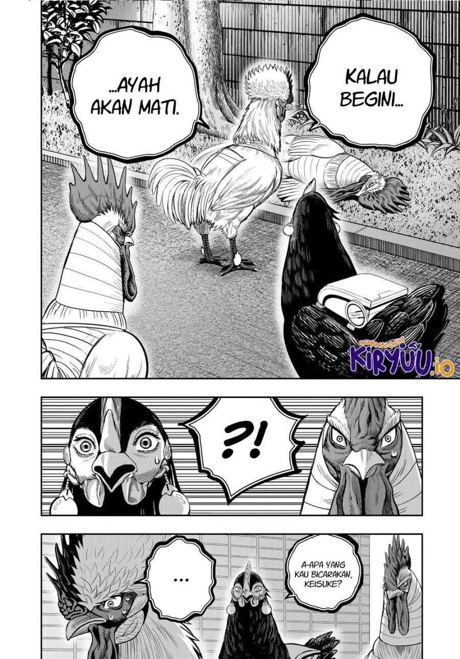 Niwatori Fighter (Rooster Fighter) Chapter 34 Bahasa Indonesia