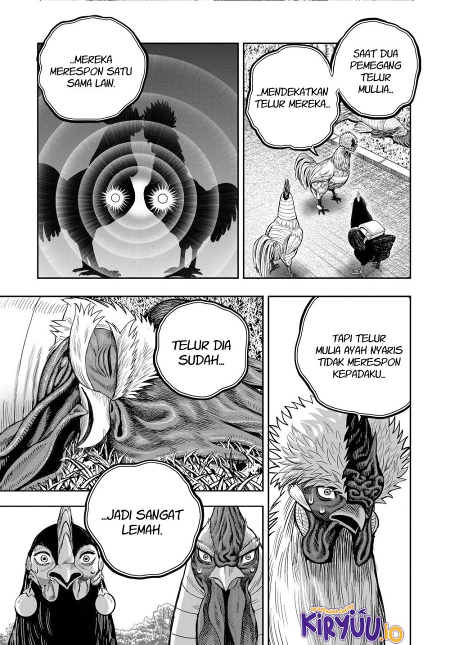 Niwatori Fighter (Rooster Fighter) Chapter 34 Bahasa Indonesia