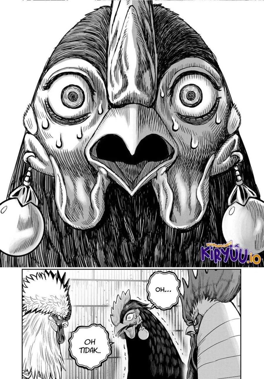 Niwatori Fighter (Rooster Fighter) Chapter 34 Bahasa Indonesia