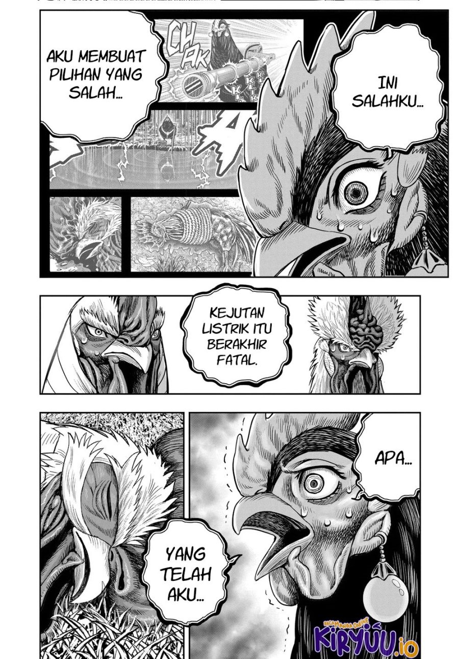 Niwatori Fighter (Rooster Fighter) Chapter 34 Bahasa Indonesia