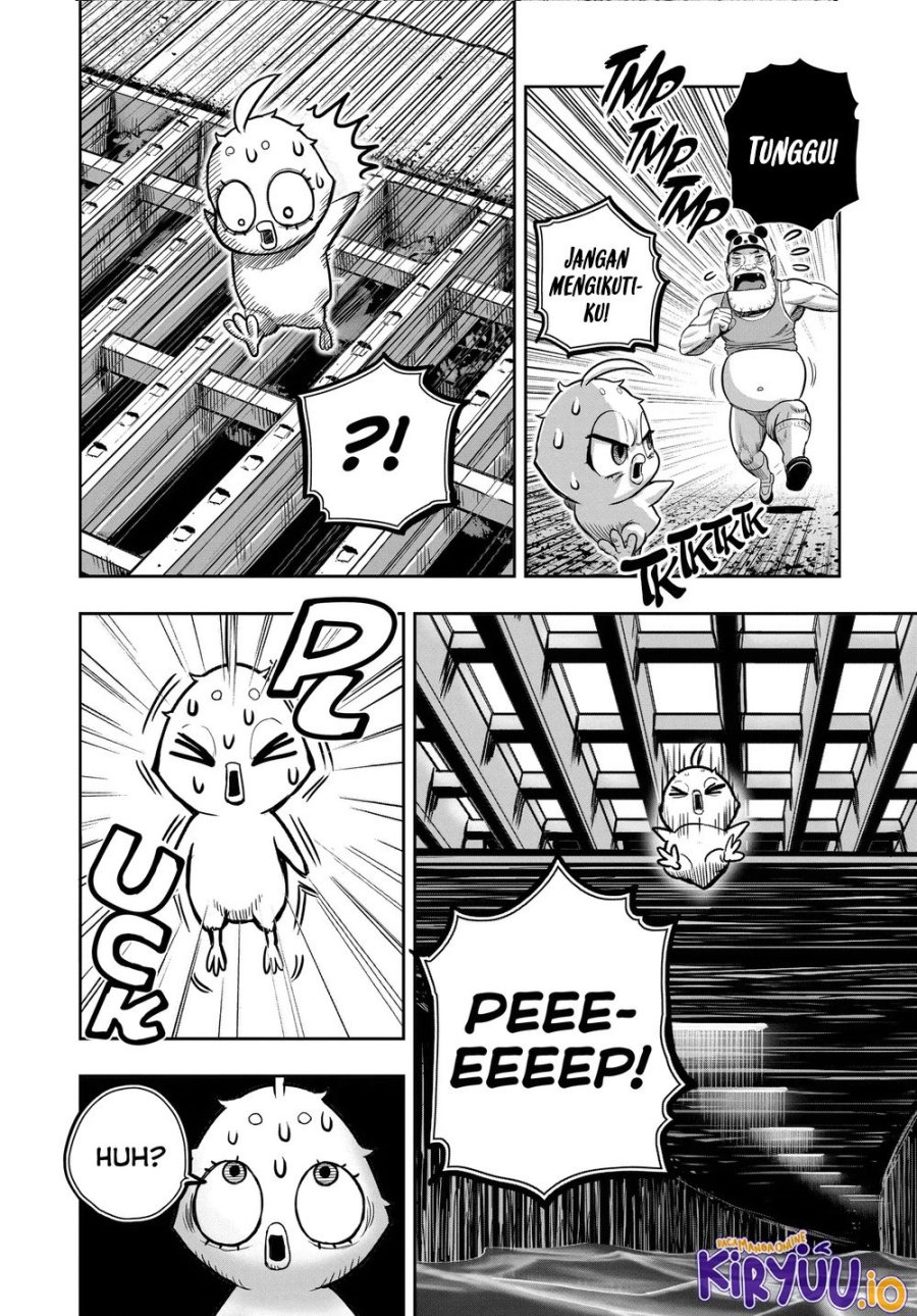 Niwatori Fighter (Rooster Fighter) Chapter 34 Bahasa Indonesia