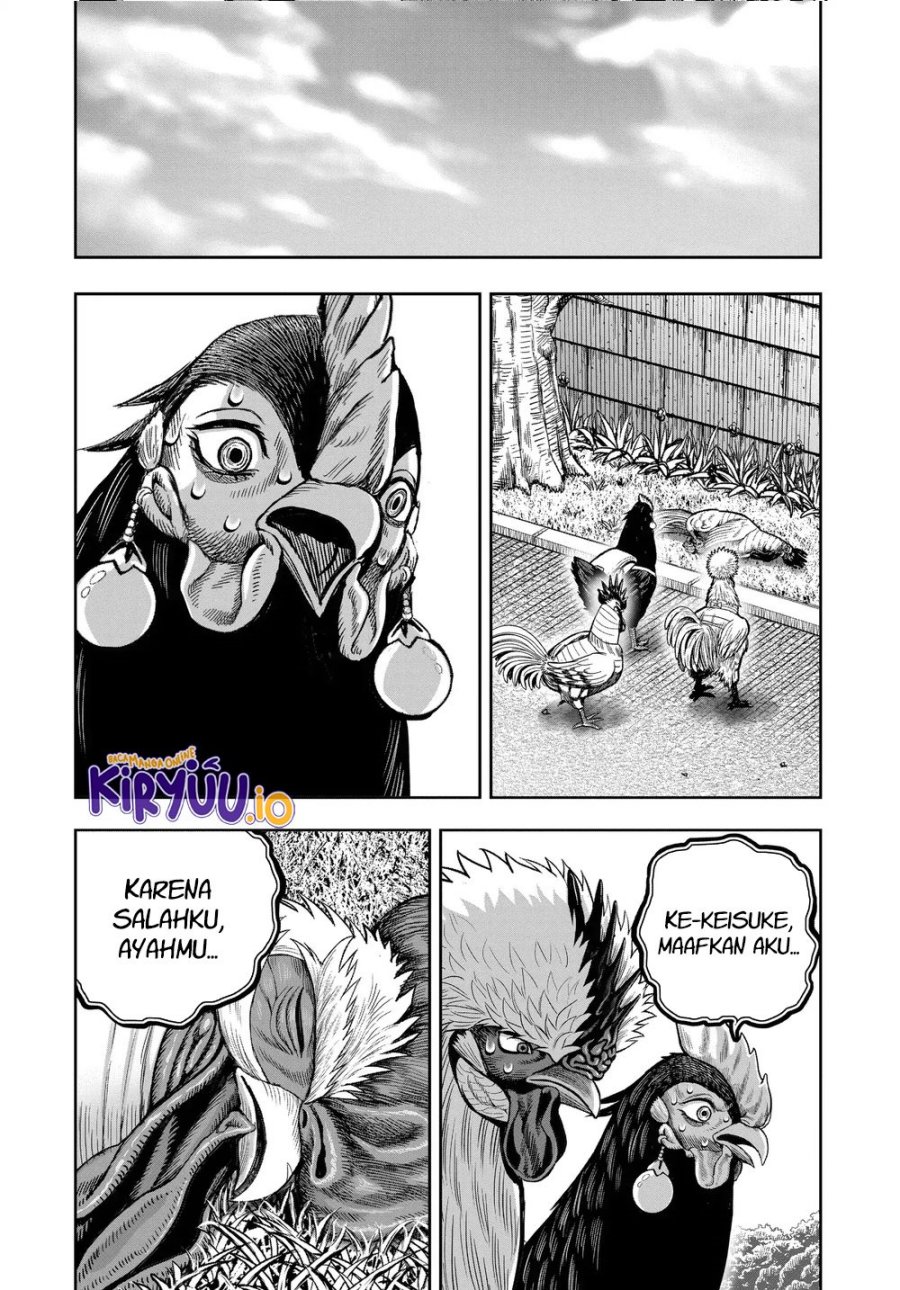 Niwatori Fighter (Rooster Fighter) Chapter 34 Bahasa Indonesia