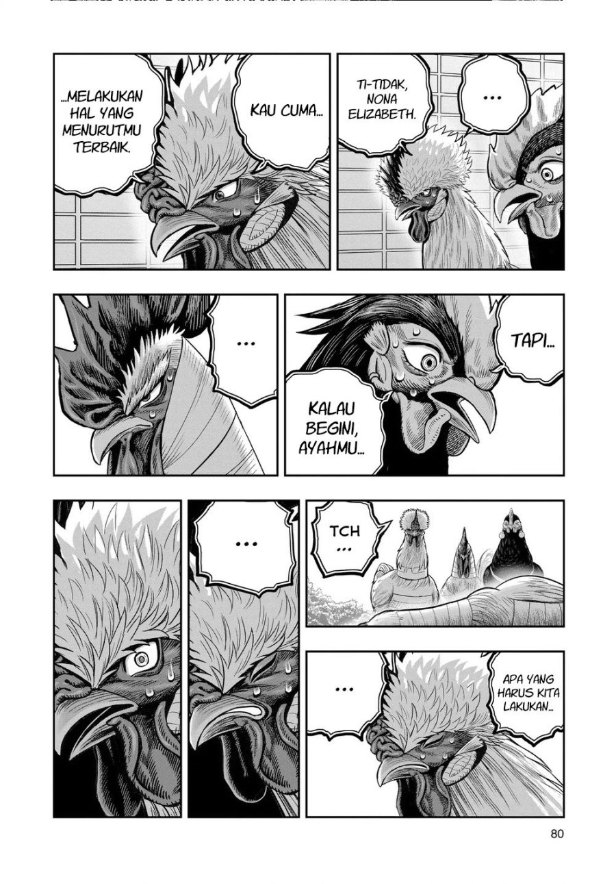 Niwatori Fighter (Rooster Fighter) Chapter 34 Bahasa Indonesia