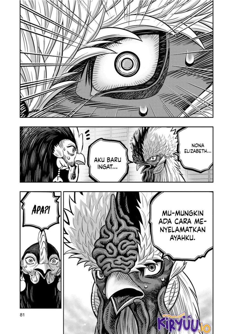 Niwatori Fighter (Rooster Fighter) Chapter 34 Bahasa Indonesia