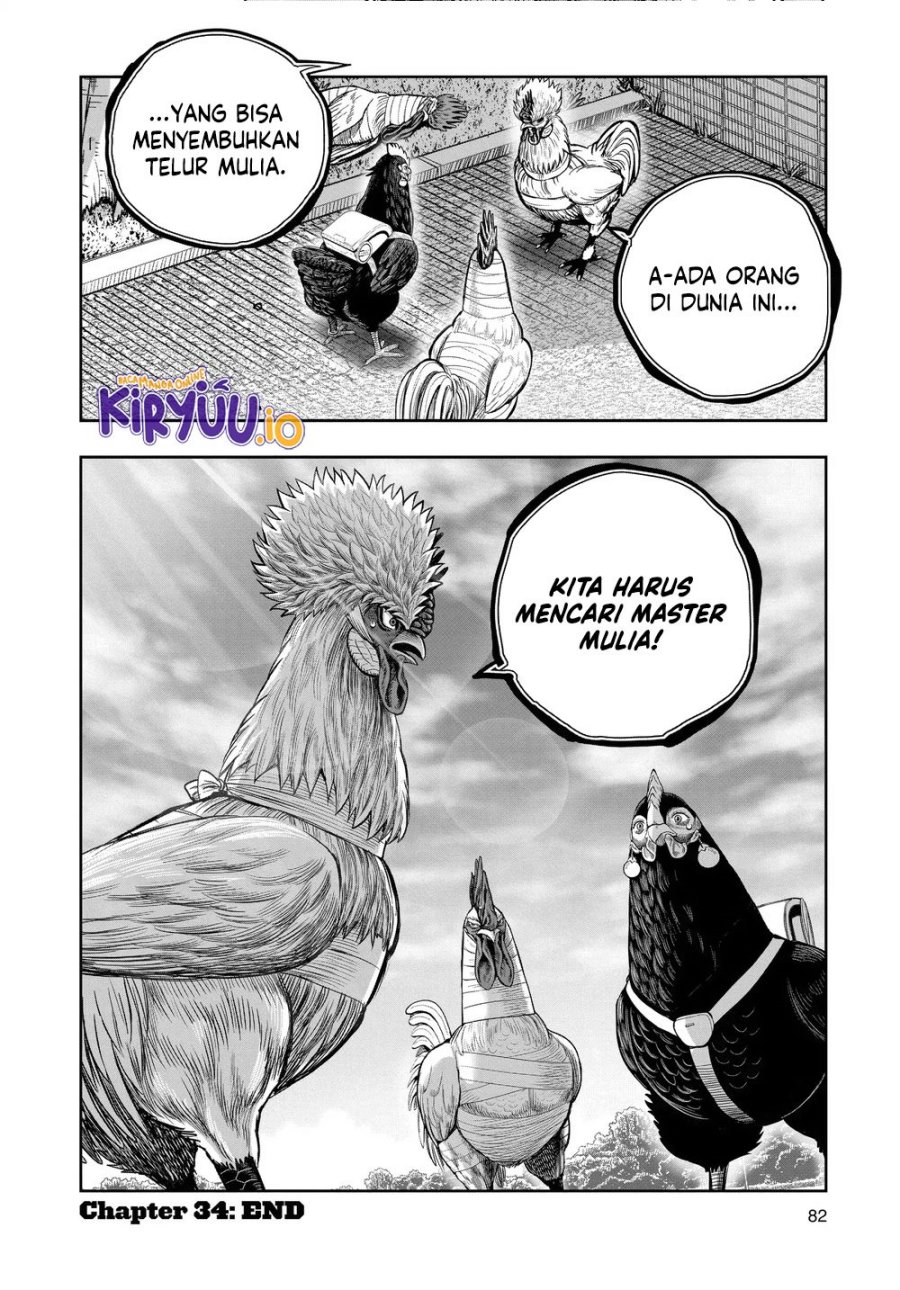 Niwatori Fighter (Rooster Fighter) Chapter 34 Bahasa Indonesia