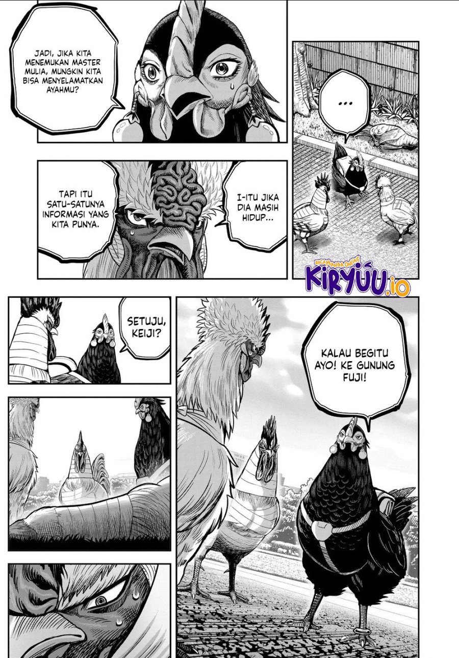 Niwatori Fighter (Rooster Fighter) Chapter 35 Bahasa Indonesia