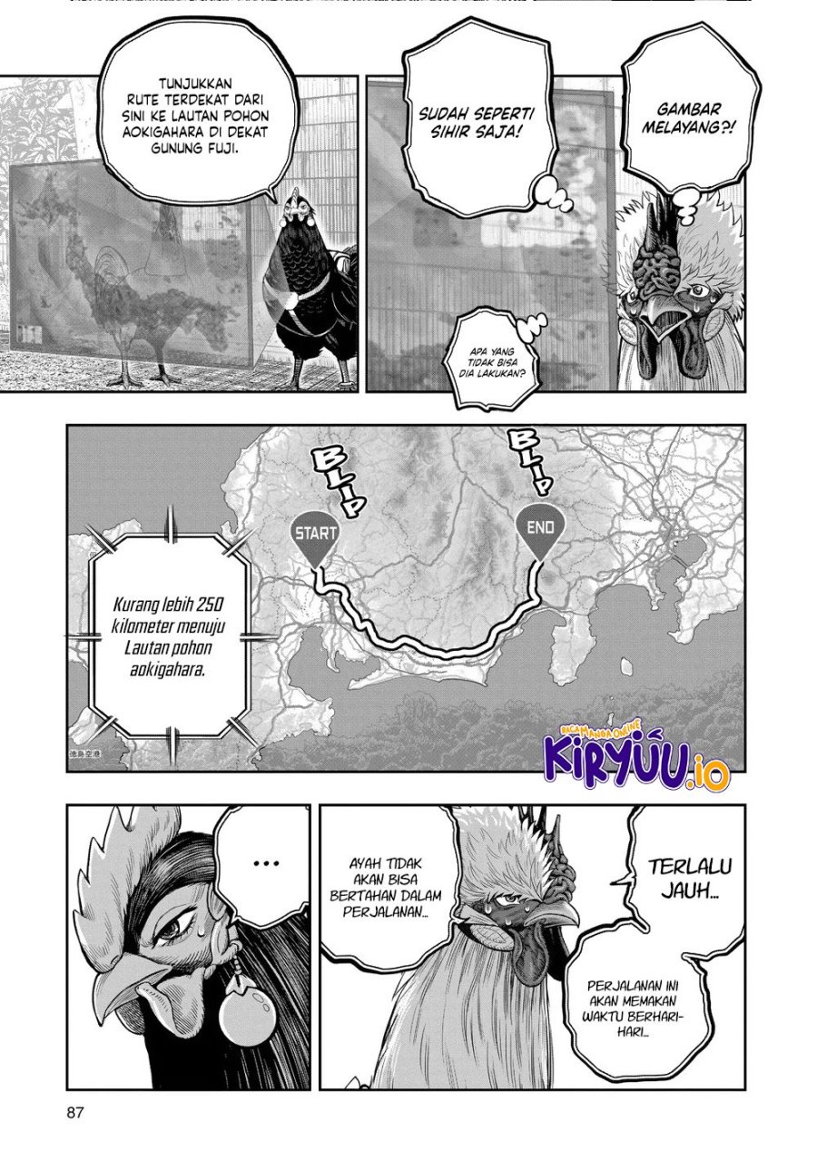 Niwatori Fighter (Rooster Fighter) Chapter 35 Bahasa Indonesia