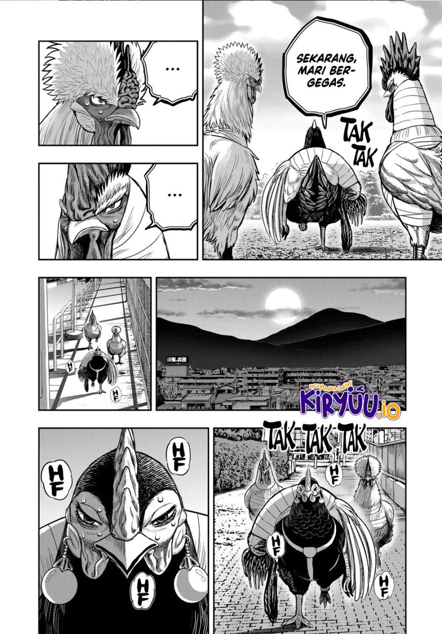 Niwatori Fighter (Rooster Fighter) Chapter 35 Bahasa Indonesia