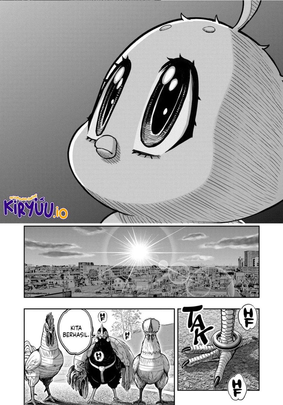 Niwatori Fighter (Rooster Fighter) Chapter 35 Bahasa Indonesia