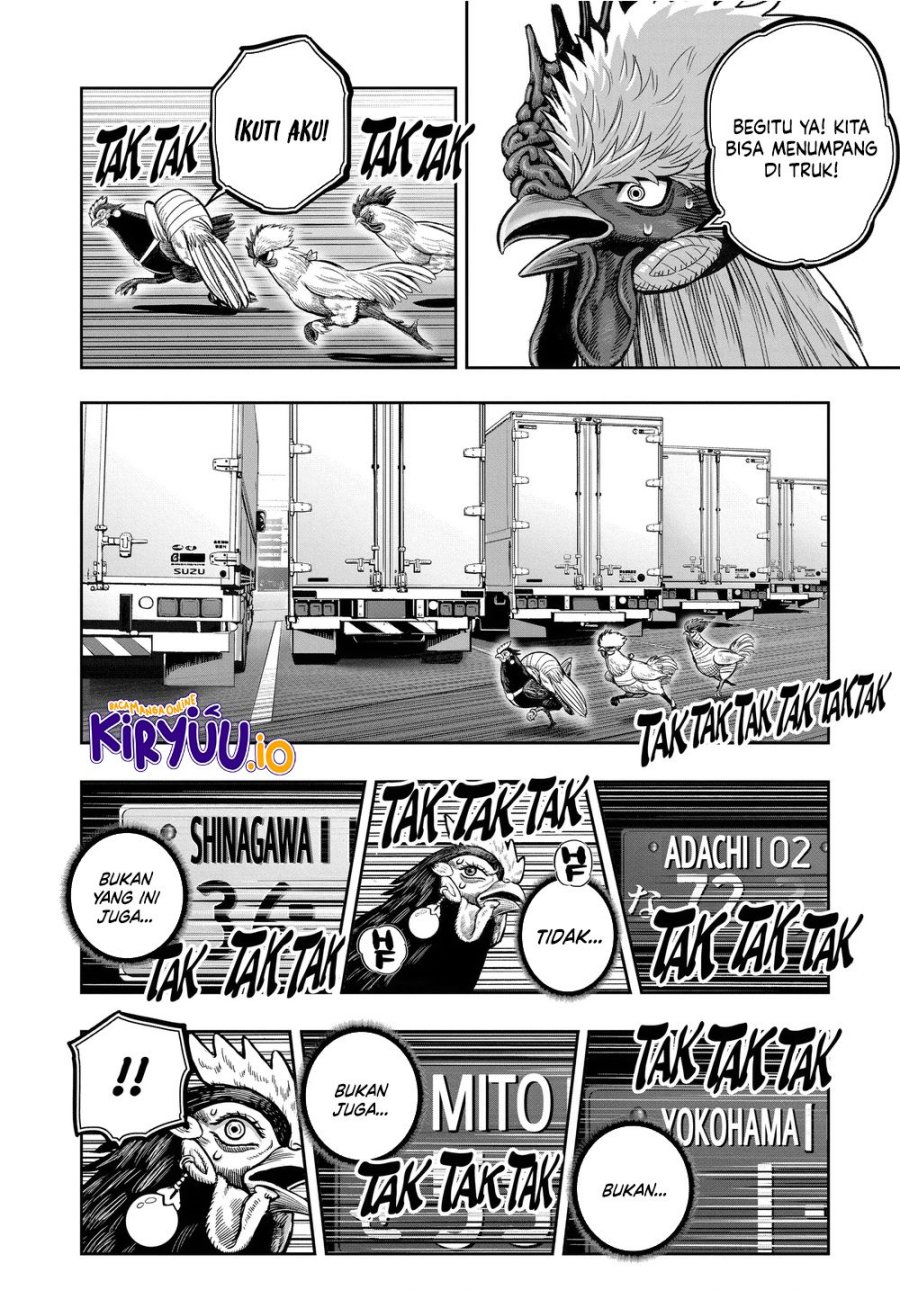 Niwatori Fighter (Rooster Fighter) Chapter 35 Bahasa Indonesia