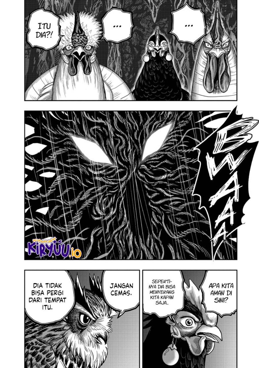 Niwatori Fighter (Rooster Fighter) Chapter 43 Bahasa Indonesia