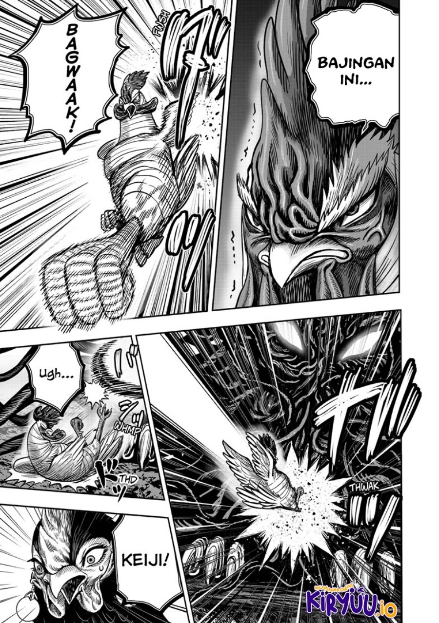 Niwatori Fighter (Rooster Fighter) Chapter 44 Bahasa Indonesia