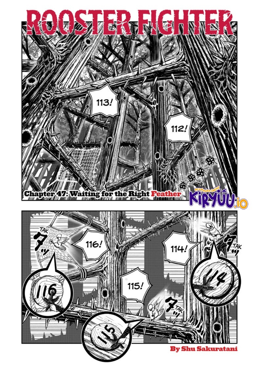 Niwatori Fighter (Rooster Fighter) Chapter 47 Bahasa Indonesia