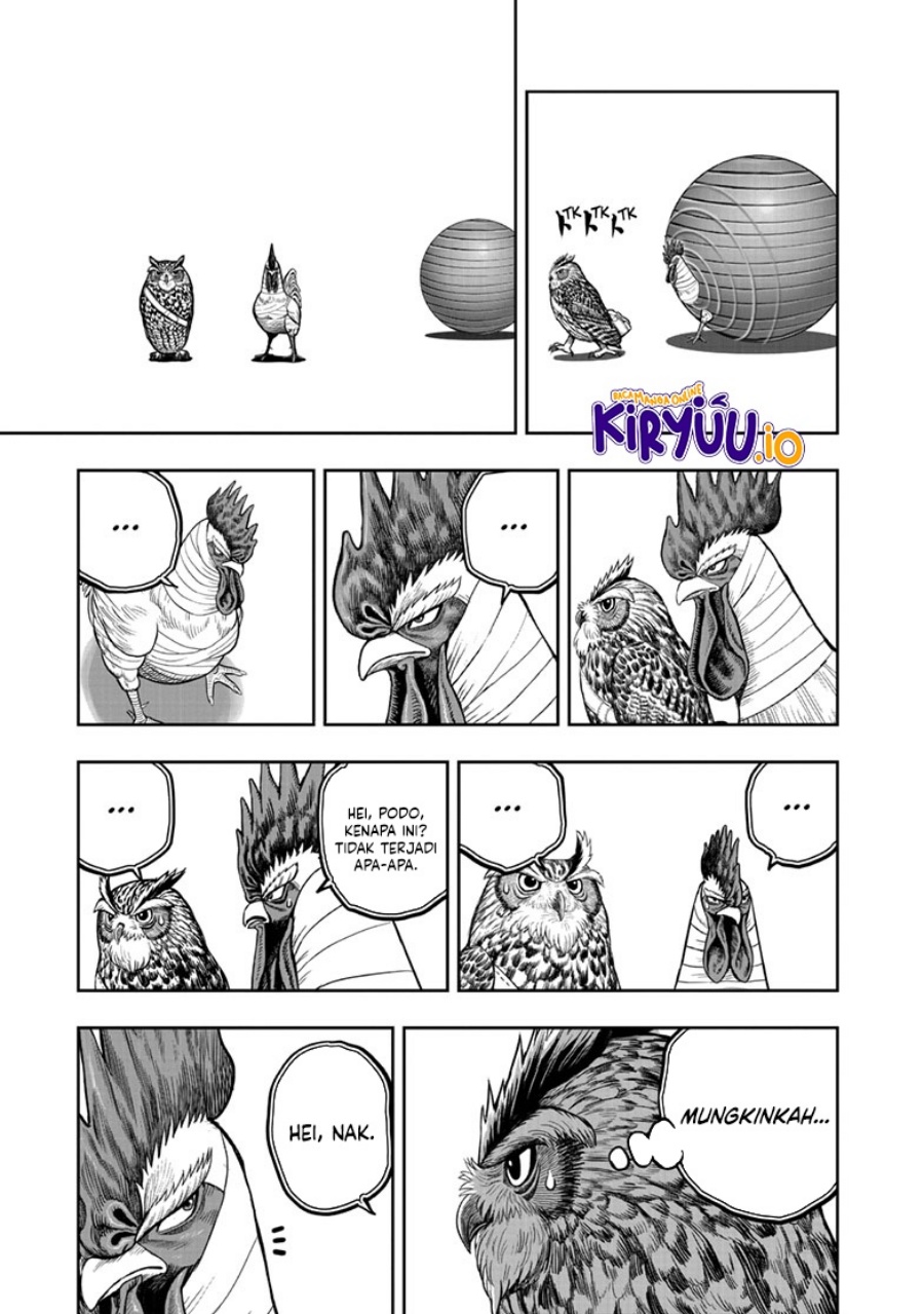 Niwatori Fighter (Rooster Fighter) Chapter 47 Bahasa Indonesia