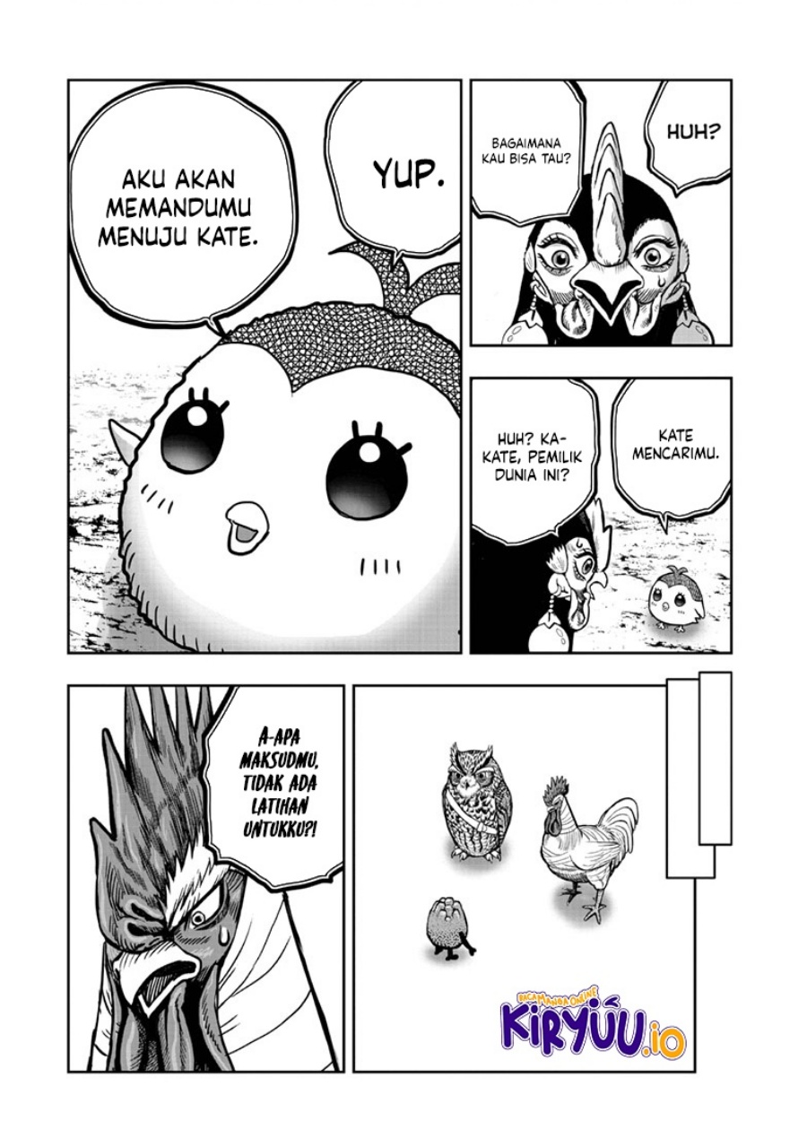 Niwatori Fighter (Rooster Fighter) Chapter 47 Bahasa Indonesia
