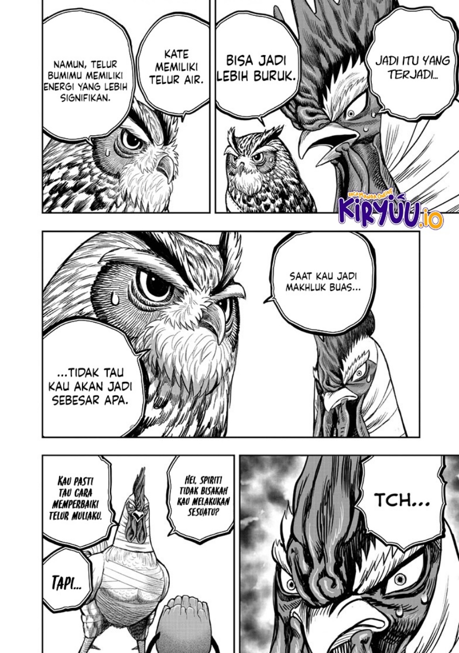 Niwatori Fighter (Rooster Fighter) Chapter 47 Bahasa Indonesia